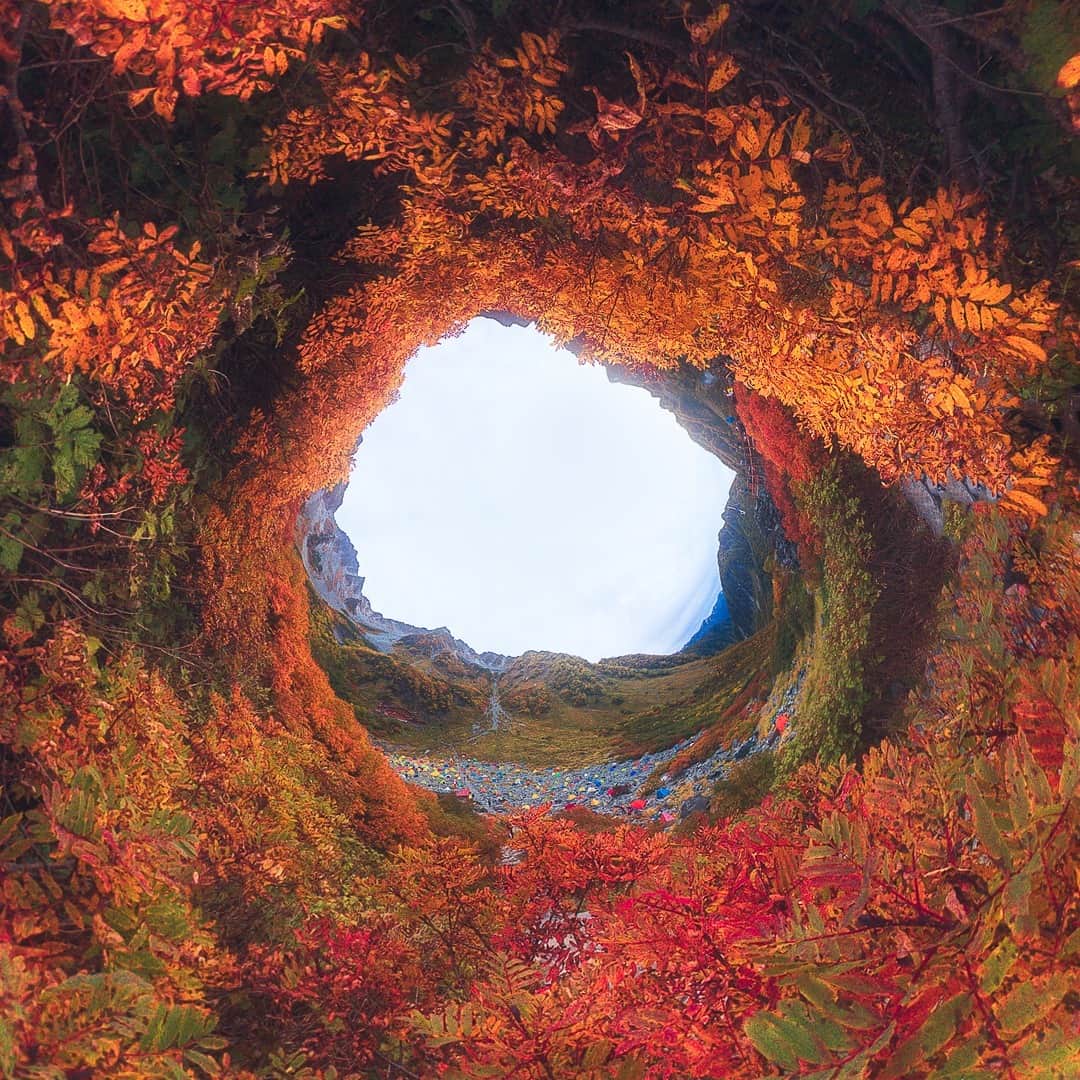 Official RICOH THETAさんのインスタグラム写真 - (Official RICOH THETAInstagram)「Autumn is almost over so we are throwing it back this Thursday to this incredible tunnel shot 🍂 Tell us what you'll miss most about fall below! 🧡  📸 : @yoshiki_fujiwara . . . . . #ricohusa #ricoh #ricohimaging #theta360 #lifein360 #360camera #360view #camera #cameratips #cameralover #photographylovers #photographer #photooftheday #tunnelvision #tunnelview #fallphotoshoot #fallphotos #fallfoliage #fallvibes #naturephotography #naturephoto #nature #parkphotography #fallcolors #ThrowbackThursday #TBT」12月11日 0時00分 - theta360official