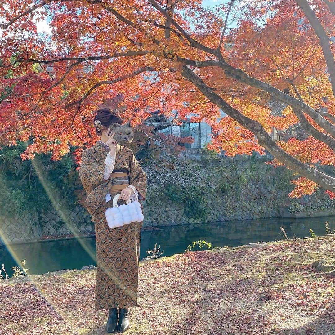 たんりいのインスタグラム：「. . @village_kyoto で 着物着て紅葉みに嵐山行ってきたよ🍁♡ . 所々しか咲いてなかったけど 着物 × 紅葉で写真撮れて嬉しいっ💓💓 . . そして、12月7日浅草 @village_tokyo  オープンして一年が経ちました♡ DMたくさんありがとうございました😭❣️ ２年目も @village_tokyo を よろしくお願いいたしますっ🙇‍♂️💞💞 . . #village #village_kimono #着物レンタル #京都着物レンタル #着物レンタル京都 #着物 #レトロコーデ #シンプル着物 #着物女子 #京都観光 #京都散策 #レトロ着物 #レトロ #浅草 #アンティーク着物 #着物コーディネート #着物コーデ #ヴィンテージ #ヘアアレンジ  #ヘアセット  #着物ヘア #着物ヘアアレンジ」