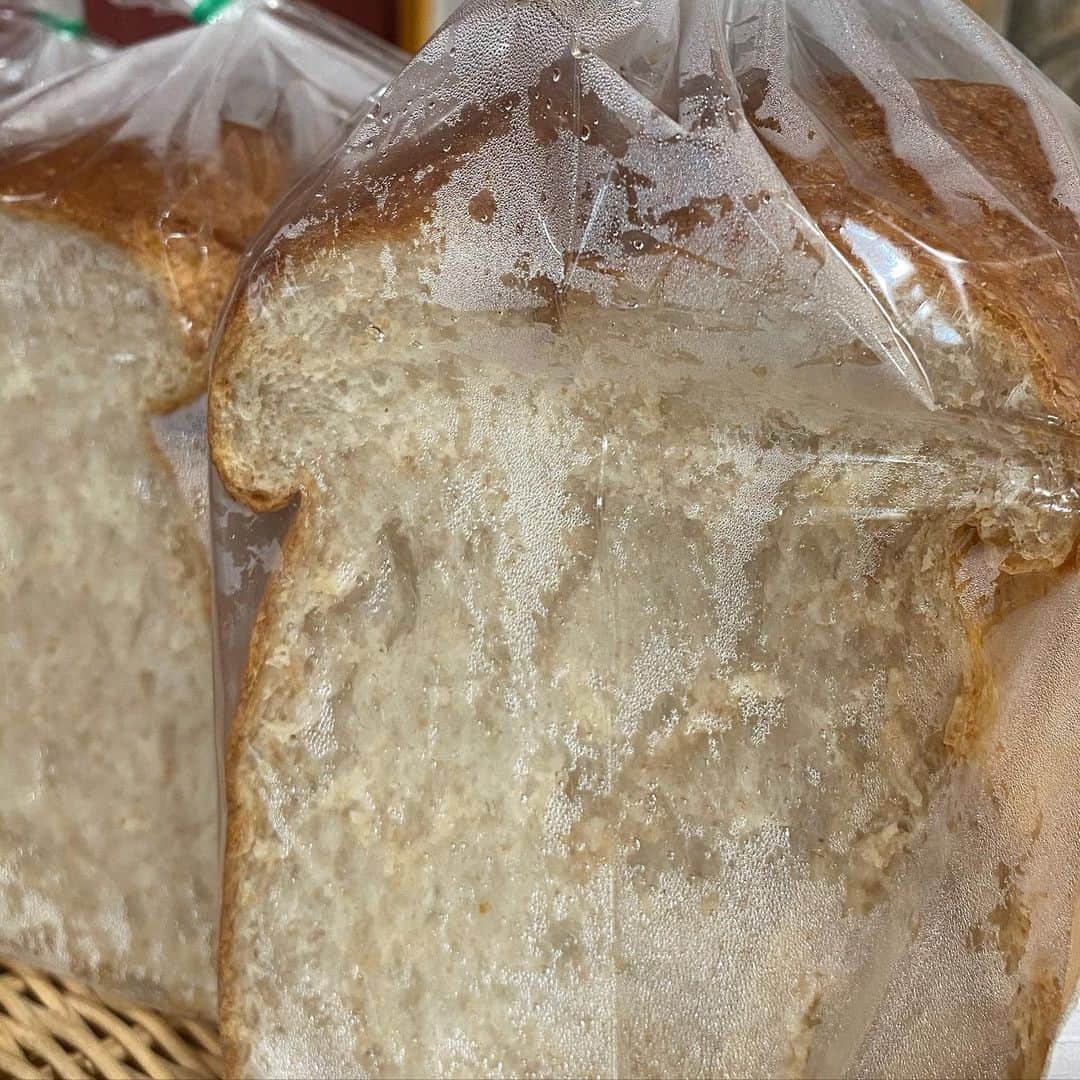 魔女菅原さんのインスタグラム写真 - (魔女菅原Instagram)「#ブラン　#小麦ふすま  ブラン山食、きょうもふわふわに焼き上がりました。食物繊維たっぷりの小麦ふすまを練り込んだヘルシーな食パンです。 #盛岡のパン屋さん  #盛岡　#盛岡パン屋　#盛岡パン　#自家製天然酵母のパン屋さんカンパーニュ　#魔女菅原」12月11日 11時08分 - hatsuyosugawara