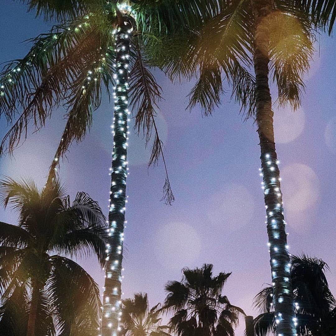 Urban Outfittersさんのインスタグラム写真 - (Urban OutfittersInstagram)「A very @uomiami way to spend the holidays. 💙🌴」12月11日 9時45分 - urbanoutfitters
