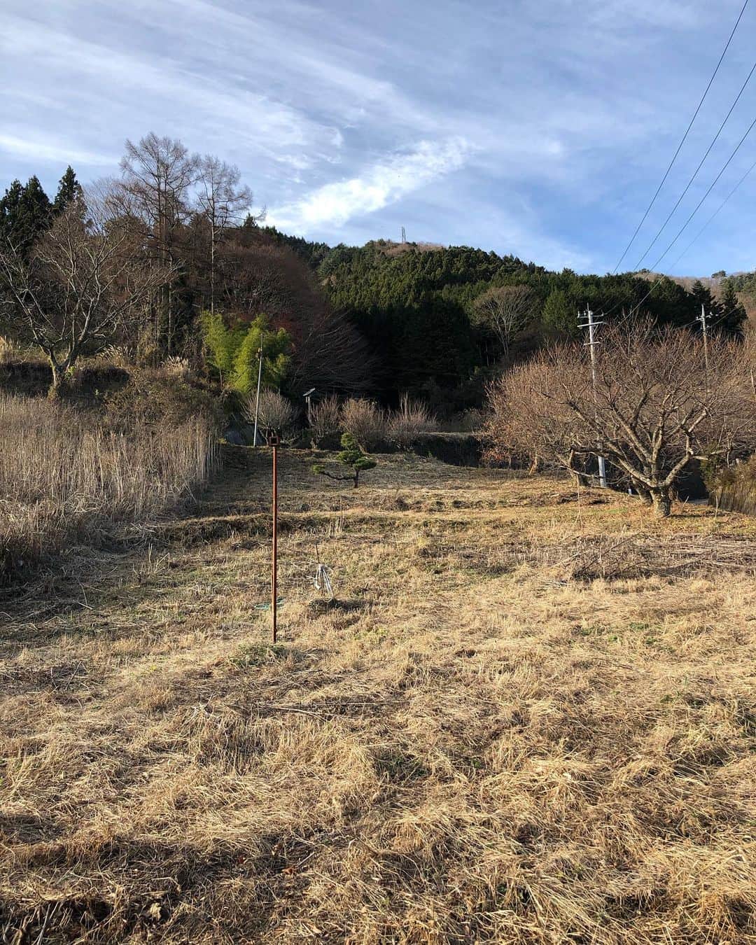 Shogoさんのインスタグラム写真 - (ShogoInstagram)「耕作放棄地というものを体感してみる。  #道志村ひゃくしょう会 #まずはハンマーナイフ #春への準備」12月11日 10時43分 - shogo_velbed