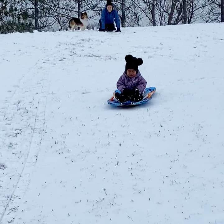 メリッサ・ビショップのインスタグラム：「Sound on 🔈’Here I goooo’ This girl couldn’t get enough tobogganing. I walked up hills so many times yesterday; pulling or pushing, Corinne and Sawyer back up just, to hear and see these smiles over and over again. ⠀⠀⠀⠀⠀⠀⠀⠀⠀⠀⠀⠀ #winterwonderland #ottawavalley #tobeakidagain」