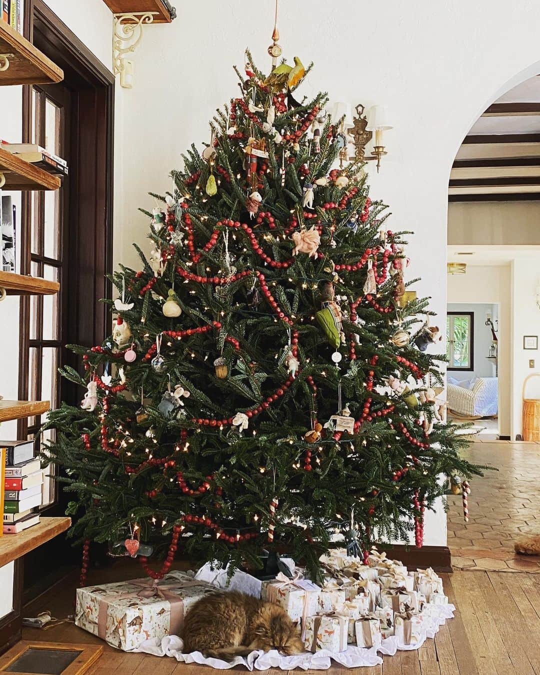 ガブリエル・アンウォーのインスタグラム：「Where’s Rupert? Best gift ever! #yuletide @shareefmalnik」