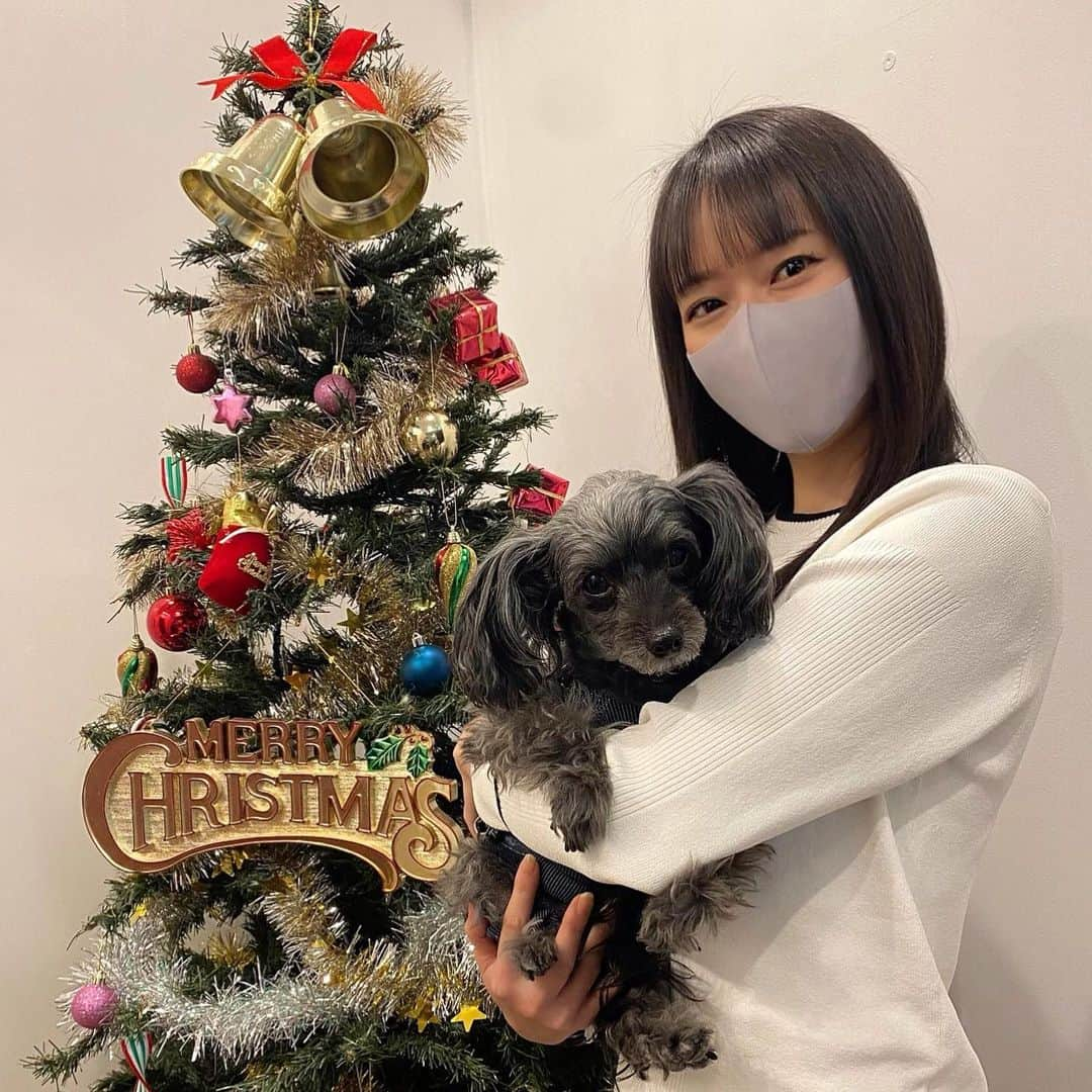 吉山りささんのインスタグラム写真 - (吉山りさInstagram)「大好きなVIRGOへgo🥰❣️  シェラ眠そうだった🐶（笑）  クリスマスツリー  大きかったなぁ〜🎄💕（笑）  いつも 髪の毛サラサラありがとうございます✨  #virgo @hair_virgo #原宿 #シェラ 安定の可愛さ💕 お兄ちゃんの女豹の話や新しいiPhoneの話、健康の話や仕事の話、楽しかった😊 #美容室 #サラサラ #animal #dog   #吉山りさ #モデル #フリーモデル #美容 #フリーランス #40代 #アラフォー   #クリスマス #christmastree #🎄」12月11日 11時18分 - oreorerisa