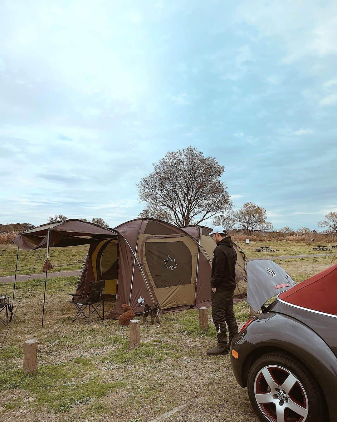 結子さんのインスタグラム写真 - (結子Instagram)「松浦家、キャンパーデビューです。 キャンプのお誘いお待ちしております。　 . @logos_enjoy_outing  Finally we got our new camping tents 🏕😂 It took almost about two hours to build it....,,, I'll post last weekend's camping photos🐕🏕」12月11日 8時17分 - yuiko_yyy