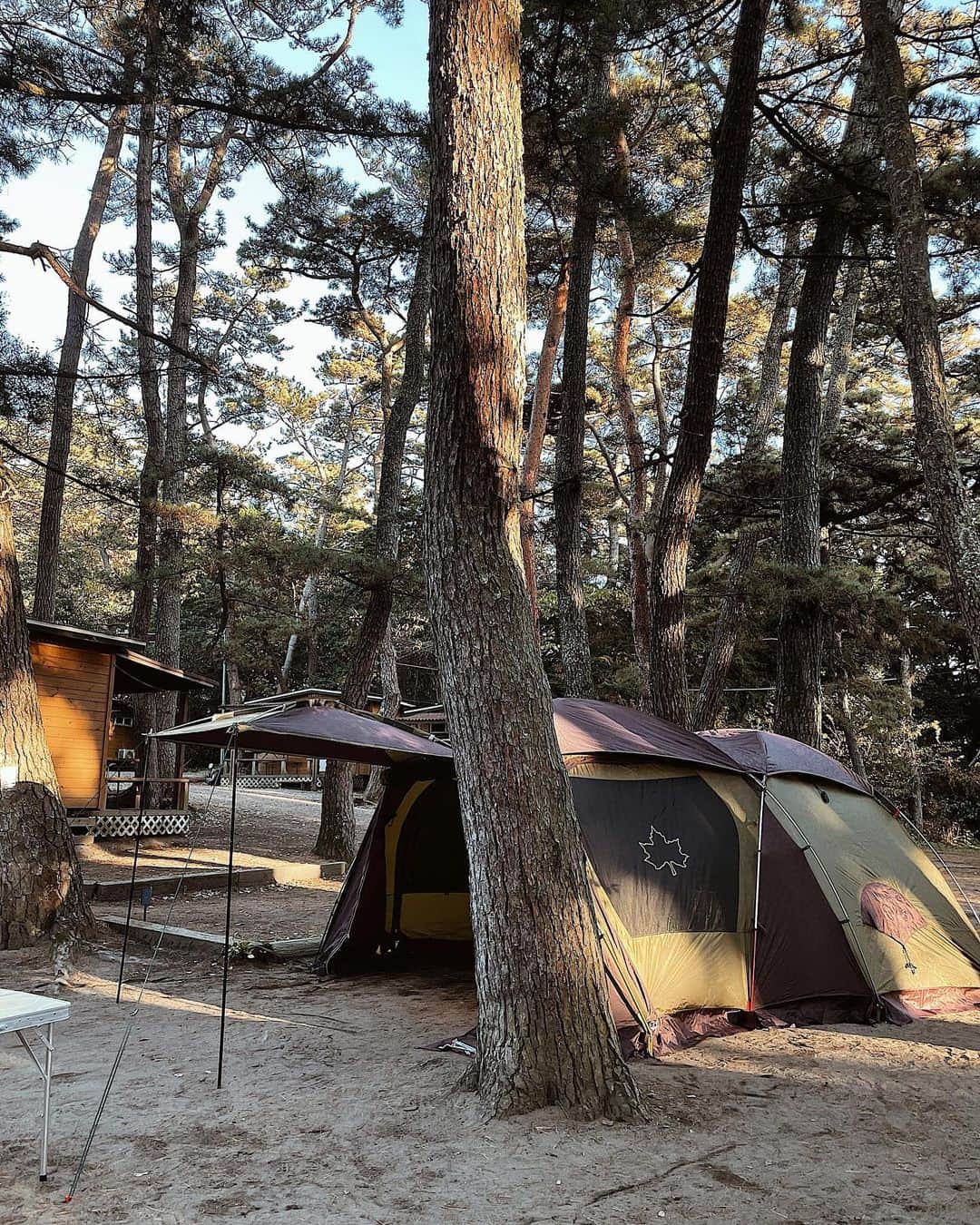 結子さんのインスタグラム写真 - (結子Instagram)「松浦家、キャンパーデビューです。 キャンプのお誘いお待ちしております。　 . @logos_enjoy_outing  Finally we got our new camping tents 🏕😂 It took almost about two hours to build it....,,, I'll post last weekend's camping photos🐕🏕」12月11日 8時17分 - yuiko_yyy