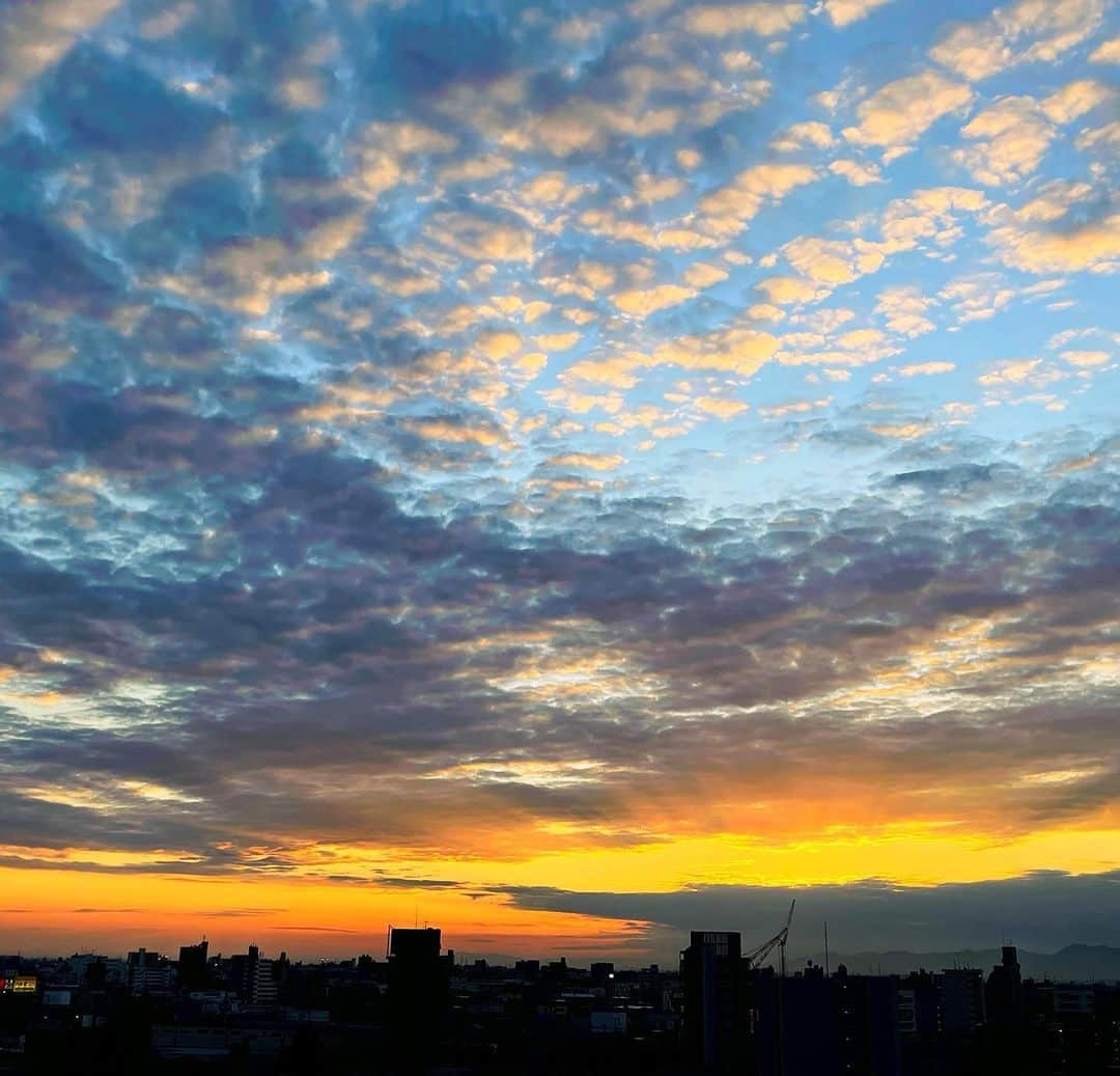 倉地美晴さんのインスタグラム写真 - (倉地美晴Instagram)「・ 家から見える夕焼けが大好きなんだ。  #sun #sunset #sunrise #sunsetphotography #sky #earth #earthwarriors #nature #naturelovers」12月11日 9時31分 - miharu_kurachi