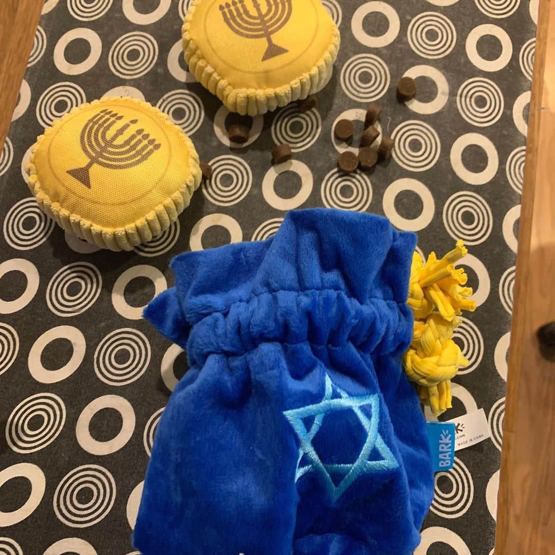 BarkBoxさんのインスタグラム写真 - (BarkBoxInstagram)「HAPPY FIRST NIGHT OF HANUKKAH ✨ brought to you by @Ruby.Off.The.Rails and our new Hanukkah toys at @target!!」12月11日 9時25分 - barkbox
