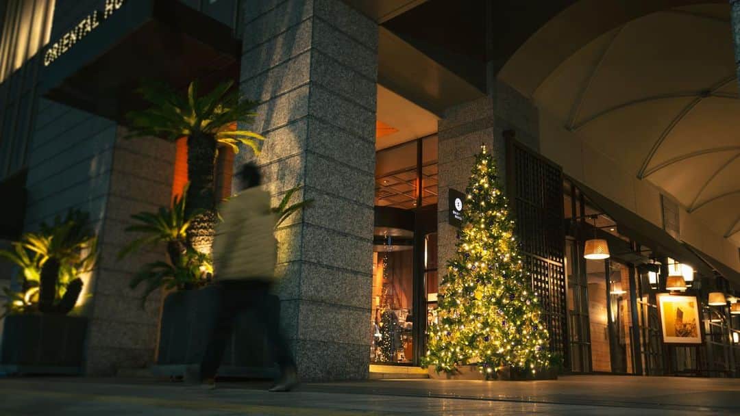 ［公式］オリエンタルホテル神戸・旧居留地さんのインスタグラム写真 - (［公式］オリエンタルホテル神戸・旧居留地Instagram)「. [ ORIENTAL HOTELのクリスマスデコレーション ]  2020年のクリスマス装飾たち。 ORIENTAL HOTELのインテリアに合わせて、 クラシカルかつモダンな大人のクリスマスを演出してくれています。  眺めているだけでわくわくした気持ちになりますね。  #オリエンタルホテル #ohk_xmas」12月11日 19時28分 - oriental.hotel.kobe