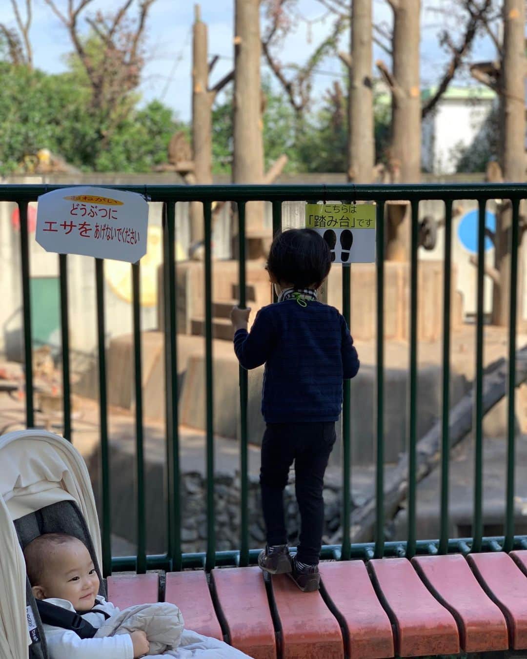 花田浩菜さんのインスタグラム写真 - (花田浩菜Instagram)「少し前に行った#羽村市動物公園 🐻❤️ . 気がついてみれば、 娘ちゃんの動物園（こちらは動物公園ではありますが😊）デビューがこちらでしたが、 何より素敵だなと思ったのが『童話のへや』がたくさんあったり、至るところに動物園を楽しめるように温かい工夫がされているところ✨📖 . . ヘンゼルとグレーテルの部屋があったり、 物語のように自分で覗ける『つるの恩返し』の部屋があったり、サル山には『さるかに合戦』のお話が書いてあったり😊😊 なんと、これ全部職員さんの手作りなんだそう！動物のクイズが巡れば答えが表れるボードなど、息子は仕掛けを楽しんだり、娘にも童話のお話を教えてあげながら息子の遊んでいるのを待っていたり、親子で楽しめる暖かさのある動物公園でした😊 鯉に餌やりもやったり、1日楽しんで娘ちゃんと手を繋いでルンルンで歩く息子を見てほっこりした休日🙆‍♀️ 普段は遊んでるもの邪魔されると『まま抱っこしてぇぇ！』になりがちですが😅、こういうのを見ると、やっぱり兄妹いいな❤️って思う瞬間👶 詳しくはプロフィールから飛べるブログにもまとめています🙆‍♀️ . . ※羽村市動物公園は原則マスク着用です。撮影時のみ外しております。 @tamahatsu_official  #多摩の魅力発信プロジェクト#たま発 #tamahatsu #PR #子供とお出かけ #子連れでお出かけ #家族でお出かけ #暮らしを楽しむ #2歳差ママ #3歳 #生後11ヶ月  #1歳 #赤ちゃんのいる生活 #2歳差兄妹 #2歳差育児 #2児ママ #japan #happy #happydays」12月11日 19時57分 - hanadahirona