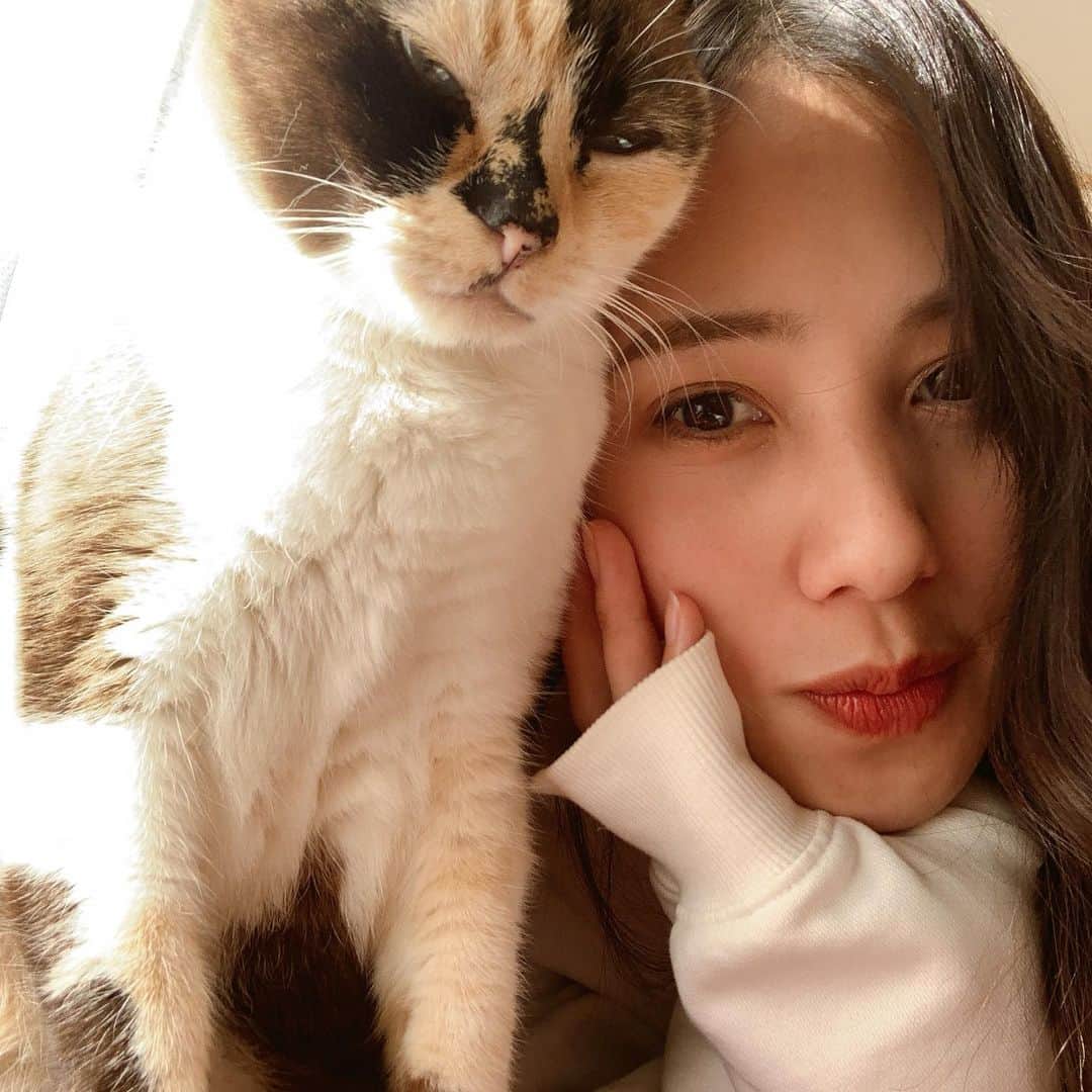 奥村真友里さんのインスタグラム写真 - (奥村真友里Instagram)「いい自撮りが撮れました✌️ めちゃくちゃ嫌そうな顔してるけどククたん #猫#ねこ#cat#selfie」12月11日 13時09分 - mayuri_okumura