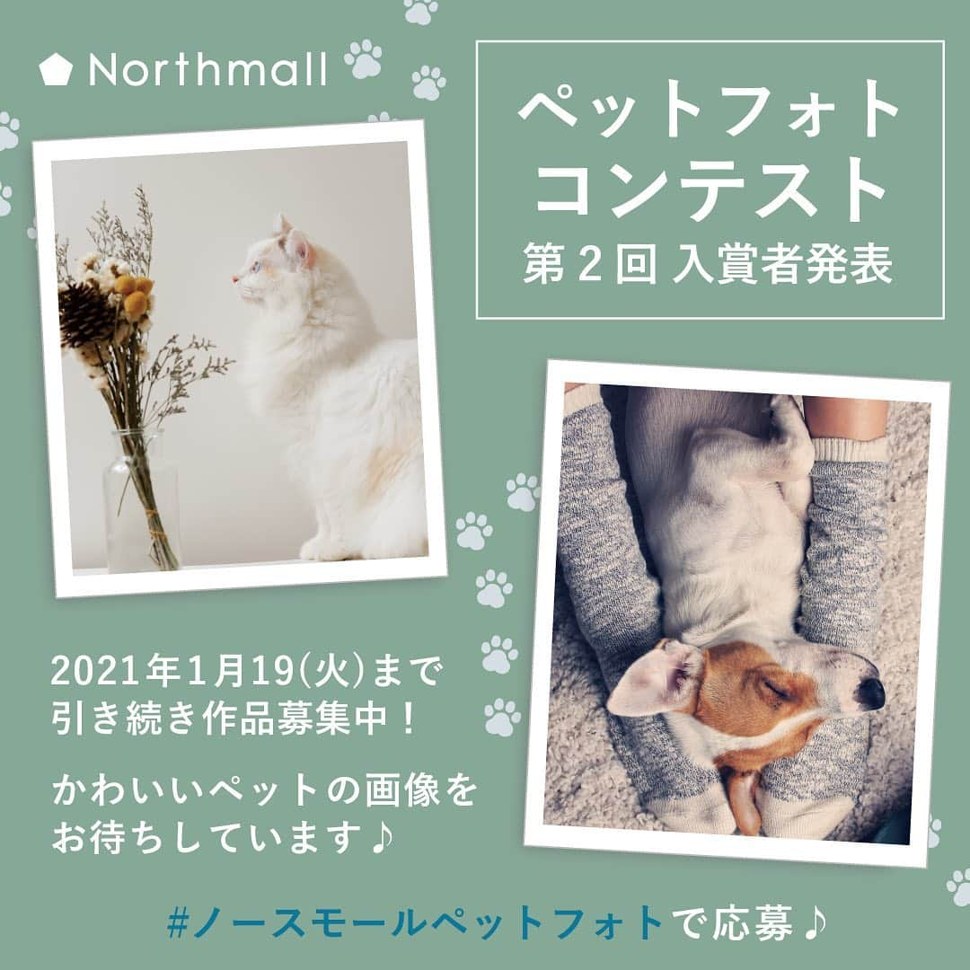 FABIAさんのインスタグラム写真 - (FABIAInstagram)「Northmall ペットフォトコンテスト🐱第2回当選者発表🐶✨ . 「Northmall ペットフォトコンテスト」に たくさんのご応募をいたただきありがとうございます！ . 厳正なる審査の結果、今週の入賞作品が決定致しました。 受賞者の皆様おめでとうございます！  @uchibenkei43 様 @aya2755 様 @ayutomomilk 様 @rody.tino.tomoko 様 @hitomiponta1212 様 @shishimaru.zaemon 様 @omami0730 様 @naosuke27 様 . 入賞されたお写真はスワイプにてチェックできます。 . キャンペーンへのご応募は2021年1月19日(火)21：59まで 入賞された方には、オリジナルのフォトブックを制作・プレゼントします🎀 . さらに、入賞された方の中から審査の上、金銀銅賞を決定！ . 金賞：ノースモールで使えるポイント10万円分（1名様） 銀賞：ノースモールで使えるポイント5万円分（1名様） 銅賞：ノースモールで使えるポイント3万円分（1名様） . まだまだ素敵なお写真を大募集中📷✨ですので、 ぜひふるってご参加ください🧡  #ノースモールペットフォト」12月11日 13時45分 - northmall_com