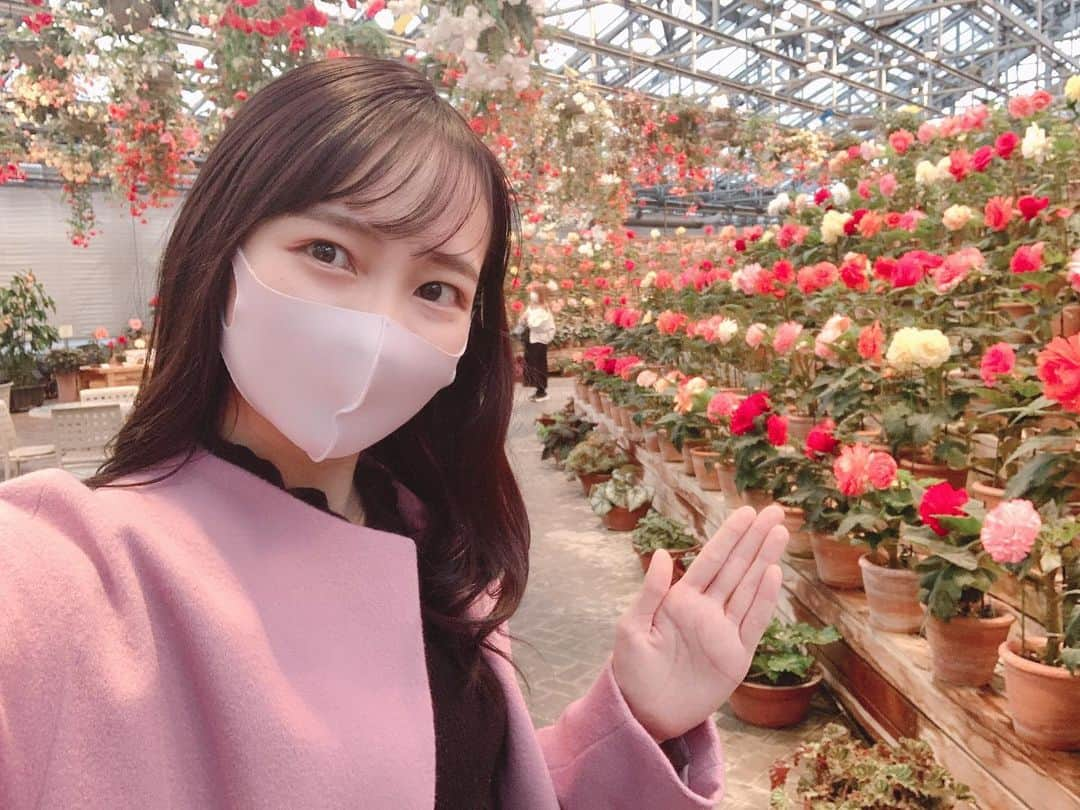 児玉祐莉乃のインスタグラム：「先日なばなの里へロケに行きました🎄🌹🏵 ベゴニアガーデンもイルミネーションもとっても素敵でした😙 何度言っても感動するイルミネーション🥺今シーズンのテーマは"奇跡の大樹"です❗️ 新登場した青いトンネルや、チューリップのイルミネーションも可愛いかったです💕😍 そして、最後の写真は今年の水みくじ❗️な、な、なんと！！！大吉でした⭐️⭐️⭐️末吉だったらどうしようというスタッフさんの声の中、引き当てました😝✌️ 今年一年を大吉でし締めくくれましたよ🧚‍♀️ベゴニアガーデンにあるので皆様是非やってみてくださいね😊 イルミネーションは2021年5月31日まで開催しています‼️🌌🌉🌆  #おりべネットワーク#おりべちゃんねる#なばなの里#ナガシマスパーランド#長島#三重観光#ベゴニア #イルミネーション#model#여행#여행사진#셀카#照片 #photooftheday #tbt#インスタ映え #travel #lookgoodfeelgood」