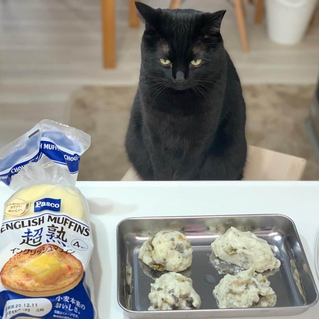 maki ogawaのインスタグラム
