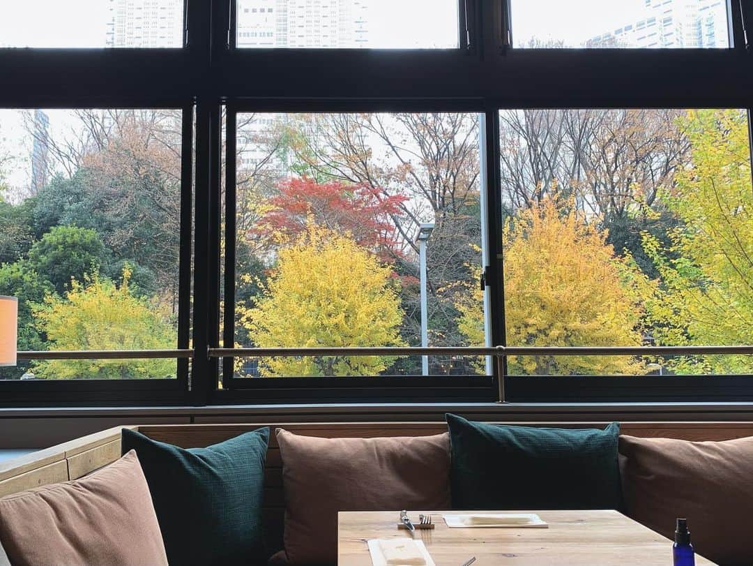 岸本佳子のグルメインスタ