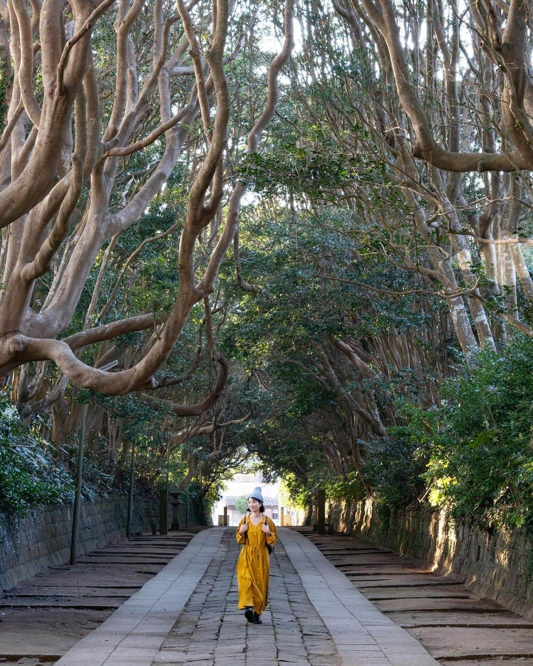 詩歩さんのインスタグラム写真 - (詩歩Instagram)「⛩﻿ ﻿ この異世界へ続くような道、実は神社の参道なんです！﻿ ﻿ ここは茨城県にある #酒列磯前神社 （さかつらいそさき神社）。@sakatura0825﻿ ﻿ その由緒は古く平安時代の創建で、海上鳥居が人気の #大洗磯前神社 の兄弟神社です。近年は宝くじの高額当選にご利益があるということで全国から運を求めて参拝者が訪れるそう💰私も宝くじ当たってみたい・・・（買ったことないｗ）﻿ ﻿ 本殿に続くその参道が、この道。﻿ ﻿ 神社の参道ではあまり見たことがない、ぐねぐねと生命力を感じる木々…！樹叢（じゅそう）と呼ぶのですが、樹齢300年をこえる立派な椿やタブノキが自生しているそう。茨城にいるのに、ジャングルのような光景でそギャップがすごかった…！﻿ ﻿ 参道の途中には、写真２枚目の海が見える鳥居もありますよ﻿ ﻿ さらにこの阿字ヶ浦エリアは、茨城の中でも #ほしいも　の名産地🍠﻿ ﻿ それを象徴する #ほしいも神社 が実は令和元年に創建！﻿ 「ほしいもの」がすべて手に入る…というご利益があるそうで、たまたまこの日着ていたワンピースとリンクコーデになってました😂酒列磯前神社の近くにあるので、ぜひお立ち寄りくださいね！﻿ ﻿ さらにその近くにあるマルヒさんで購入できる #ほしいもソフト も美味です😋🍦 @maruhigram﻿ ﻿ 🍠﻿ ﻿ 茨城県さんのお仕事で「 #Zekkeiいばらき ツアー」を監修＆同行してきました！今年で５年目になるお仕事。﻿ ﻿ ツアーの様子はYoutubeで公開しています。「詩歩の絶景Vlog」チャンネルからご覧ください😊﻿ https://www.youtube.com/user/zekkeichannnel﻿ ﻿ ﻿ ⛩﻿ ﻿ This path that seems to lead to another world is actually the approach to a shrine!﻿ ﻿ This is the #SakatsuraIsosaki Shrine in Ibaraki Prefecture. @sakatura0825　 It is a sibling shrine of the popular #OaraiIsosakiShrine, which has a long history and was founded in the Heian period. In recent years, people from all over the country have been coming to the shrine to seek their fortune in winning the lottery 💰 I want to win the lottery too... (I've never bought one before)﻿ ﻿ This is the path that leads to the main shrine. The approach to the main shrine is this path. It's called Juso, and it's home to magnificent camellias and tabunoki trees that are over 300 years old. It was amazing to see such a jungle-like scene even though we were in Ibaraki...! On the way to the shrine, there is also a torii gate with a view of the ocean as seen in the picture 2! The Ajigaura area is also famous for dried sweet potatoes, which are the most popular food in Ibaraki.﻿ ﻿ The #Hosiimoshrine was actually built in 2019 to symbolize this! And the wishful potato soft available at Maruhi's near there is also delicious 😋🍦 @maruhigram﻿ ﻿ ﻿ ﻿ ﻿ 📷 Nov 2020 ﻿ 📍酒列磯前神社／茨城県 　ひたちなか市﻿ 📍Sakatura Isosaki Shrine／Ibaraki Japan﻿ #shiho_ibaraki ﻿ ﻿ ﻿ ﻿ ﻿ ©Shiho/詩歩﻿」12月11日 16時17分 - shiho_zekkei