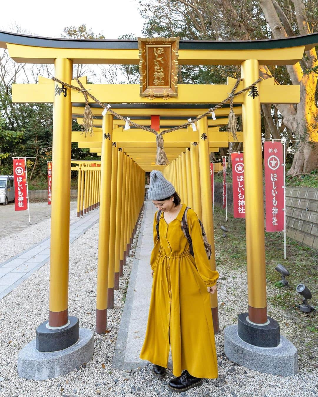 詩歩さんのインスタグラム写真 - (詩歩Instagram)「⛩﻿ ﻿ この異世界へ続くような道、実は神社の参道なんです！﻿ ﻿ ここは茨城県にある #酒列磯前神社 （さかつらいそさき神社）。@sakatura0825﻿ ﻿ その由緒は古く平安時代の創建で、海上鳥居が人気の #大洗磯前神社 の兄弟神社です。近年は宝くじの高額当選にご利益があるということで全国から運を求めて参拝者が訪れるそう💰私も宝くじ当たってみたい・・・（買ったことないｗ）﻿ ﻿ 本殿に続くその参道が、この道。﻿ ﻿ 神社の参道ではあまり見たことがない、ぐねぐねと生命力を感じる木々…！樹叢（じゅそう）と呼ぶのですが、樹齢300年をこえる立派な椿やタブノキが自生しているそう。茨城にいるのに、ジャングルのような光景でそギャップがすごかった…！﻿ ﻿ 参道の途中には、写真２枚目の海が見える鳥居もありますよ﻿ ﻿ さらにこの阿字ヶ浦エリアは、茨城の中でも #ほしいも　の名産地🍠﻿ ﻿ それを象徴する #ほしいも神社 が実は令和元年に創建！﻿ 「ほしいもの」がすべて手に入る…というご利益があるそうで、たまたまこの日着ていたワンピースとリンクコーデになってました😂酒列磯前神社の近くにあるので、ぜひお立ち寄りくださいね！﻿ ﻿ さらにその近くにあるマルヒさんで購入できる #ほしいもソフト も美味です😋🍦 @maruhigram﻿ ﻿ 🍠﻿ ﻿ 茨城県さんのお仕事で「 #Zekkeiいばらき ツアー」を監修＆同行してきました！今年で５年目になるお仕事。﻿ ﻿ ツアーの様子はYoutubeで公開しています。「詩歩の絶景Vlog」チャンネルからご覧ください😊﻿ https://www.youtube.com/user/zekkeichannnel﻿ ﻿ ﻿ ⛩﻿ ﻿ This path that seems to lead to another world is actually the approach to a shrine!﻿ ﻿ This is the #SakatsuraIsosaki Shrine in Ibaraki Prefecture. @sakatura0825　 It is a sibling shrine of the popular #OaraiIsosakiShrine, which has a long history and was founded in the Heian period. In recent years, people from all over the country have been coming to the shrine to seek their fortune in winning the lottery 💰 I want to win the lottery too... (I've never bought one before)﻿ ﻿ This is the path that leads to the main shrine. The approach to the main shrine is this path. It's called Juso, and it's home to magnificent camellias and tabunoki trees that are over 300 years old. It was amazing to see such a jungle-like scene even though we were in Ibaraki...! On the way to the shrine, there is also a torii gate with a view of the ocean as seen in the picture 2! The Ajigaura area is also famous for dried sweet potatoes, which are the most popular food in Ibaraki.﻿ ﻿ The #Hosiimoshrine was actually built in 2019 to symbolize this! And the wishful potato soft available at Maruhi's near there is also delicious 😋🍦 @maruhigram﻿ ﻿ ﻿ ﻿ ﻿ 📷 Nov 2020 ﻿ 📍酒列磯前神社／茨城県 　ひたちなか市﻿ 📍Sakatura Isosaki Shrine／Ibaraki Japan﻿ #shiho_ibaraki ﻿ ﻿ ﻿ ﻿ ﻿ ©Shiho/詩歩﻿」12月11日 16時17分 - shiho_zekkei