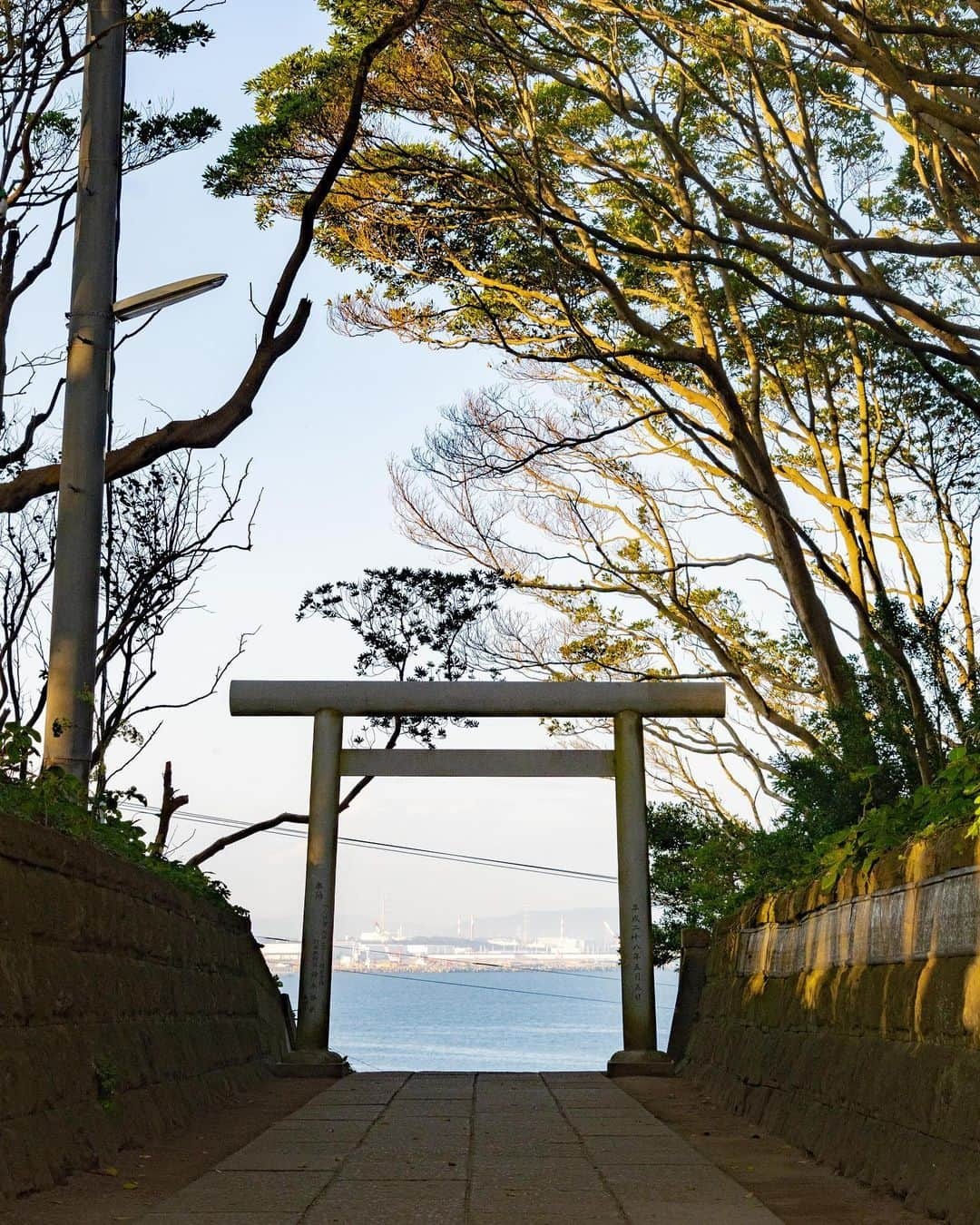 詩歩さんのインスタグラム写真 - (詩歩Instagram)「⛩﻿ ﻿ この異世界へ続くような道、実は神社の参道なんです！﻿ ﻿ ここは茨城県にある #酒列磯前神社 （さかつらいそさき神社）。@sakatura0825﻿ ﻿ その由緒は古く平安時代の創建で、海上鳥居が人気の #大洗磯前神社 の兄弟神社です。近年は宝くじの高額当選にご利益があるということで全国から運を求めて参拝者が訪れるそう💰私も宝くじ当たってみたい・・・（買ったことないｗ）﻿ ﻿ 本殿に続くその参道が、この道。﻿ ﻿ 神社の参道ではあまり見たことがない、ぐねぐねと生命力を感じる木々…！樹叢（じゅそう）と呼ぶのですが、樹齢300年をこえる立派な椿やタブノキが自生しているそう。茨城にいるのに、ジャングルのような光景でそギャップがすごかった…！﻿ ﻿ 参道の途中には、写真２枚目の海が見える鳥居もありますよ﻿ ﻿ さらにこの阿字ヶ浦エリアは、茨城の中でも #ほしいも　の名産地🍠﻿ ﻿ それを象徴する #ほしいも神社 が実は令和元年に創建！﻿ 「ほしいもの」がすべて手に入る…というご利益があるそうで、たまたまこの日着ていたワンピースとリンクコーデになってました😂酒列磯前神社の近くにあるので、ぜひお立ち寄りくださいね！﻿ ﻿ さらにその近くにあるマルヒさんで購入できる #ほしいもソフト も美味です😋🍦 @maruhigram﻿ ﻿ 🍠﻿ ﻿ 茨城県さんのお仕事で「 #Zekkeiいばらき ツアー」を監修＆同行してきました！今年で５年目になるお仕事。﻿ ﻿ ツアーの様子はYoutubeで公開しています。「詩歩の絶景Vlog」チャンネルからご覧ください😊﻿ https://www.youtube.com/user/zekkeichannnel﻿ ﻿ ﻿ ⛩﻿ ﻿ This path that seems to lead to another world is actually the approach to a shrine!﻿ ﻿ This is the #SakatsuraIsosaki Shrine in Ibaraki Prefecture. @sakatura0825　 It is a sibling shrine of the popular #OaraiIsosakiShrine, which has a long history and was founded in the Heian period. In recent years, people from all over the country have been coming to the shrine to seek their fortune in winning the lottery 💰 I want to win the lottery too... (I've never bought one before)﻿ ﻿ This is the path that leads to the main shrine. The approach to the main shrine is this path. It's called Juso, and it's home to magnificent camellias and tabunoki trees that are over 300 years old. It was amazing to see such a jungle-like scene even though we were in Ibaraki...! On the way to the shrine, there is also a torii gate with a view of the ocean as seen in the picture 2! The Ajigaura area is also famous for dried sweet potatoes, which are the most popular food in Ibaraki.﻿ ﻿ The #Hosiimoshrine was actually built in 2019 to symbolize this! And the wishful potato soft available at Maruhi's near there is also delicious 😋🍦 @maruhigram﻿ ﻿ ﻿ ﻿ ﻿ 📷 Nov 2020 ﻿ 📍酒列磯前神社／茨城県 　ひたちなか市﻿ 📍Sakatura Isosaki Shrine／Ibaraki Japan﻿ #shiho_ibaraki ﻿ ﻿ ﻿ ﻿ ﻿ ©Shiho/詩歩﻿」12月11日 16時17分 - shiho_zekkei