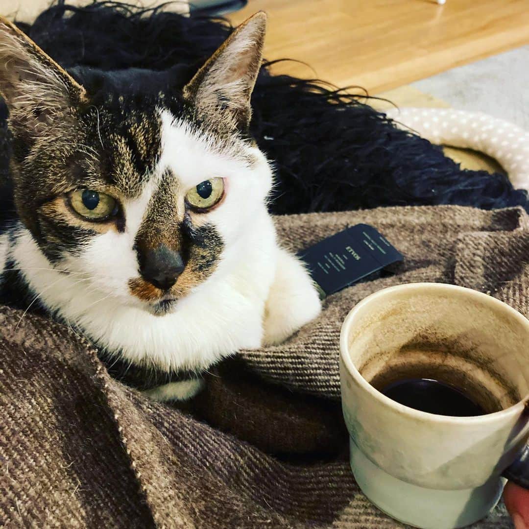 井上荒野のインスタグラム：「コーヒータイム」