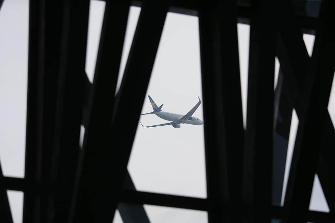 17人をフォロー中 【結婚式場】ラヴィマーナ神戸ウエディングのグルメインスタ