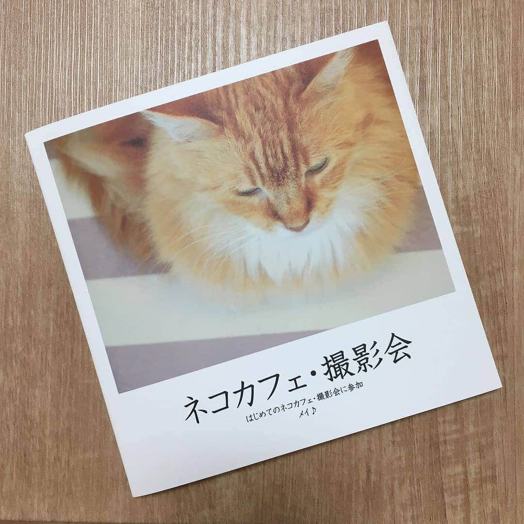Photobackのインスタグラム