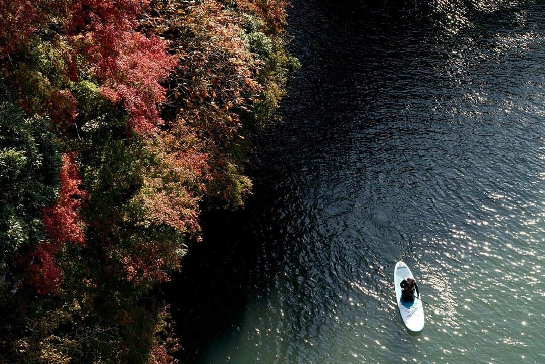 東京都庁広報課さんのインスタグラム写真 - (東京都庁広報課Instagram)「「奥多摩／Okutama (2020.11.12撮影)」最寄駅：奥多摩駅   #奥多摩 #多摩川 #青梅線 #白丸調整池ダム #鳩ノ巣渓谷 #多摩で見つけた自然 #紅葉スポット  #tokyotokyo #tokyogram #moodygrams #jp_gallery #ptk_japan #gdayjapan #realtokyo #beautifuldestinations #tokyojapan #instatokyo #loves_nippon #phos_japan #bestjapanpics #cooljapan #japan_of_insta #photo_jpn #illgrammers #景色 #東京 #Tokyo #东京 #도쿄 #tokyogood」12月11日 17時15分 - tocho_koho_official