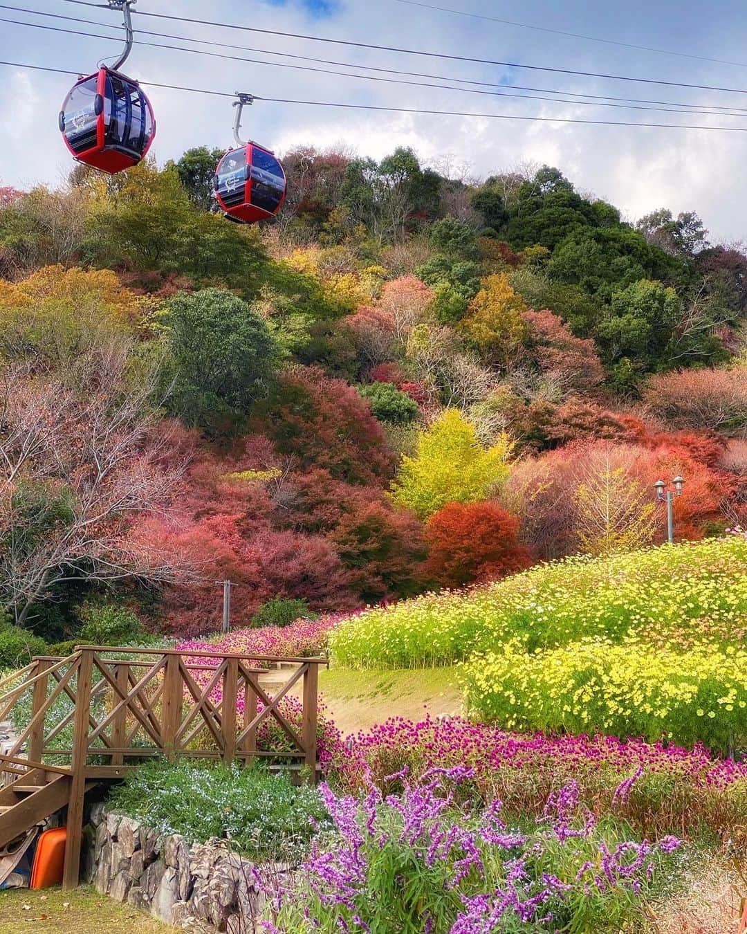 hama_aki_pppさんのインスタグラム写真 - (hama_aki_pppInstagram)「兵庫県神戸市#布引ハーブ園 (スライドして下さい)  Hyogo Japan (Swipe)  　 2020.11.29    #ハーブ園  #美しい日本　 #土曜日の小旅行  #anaタビキブン  #日本の絶景  #日本庭園  #タビジェニ  #神戸布引ハーブ園  #tv_flowers  #total_asia  #amazing_shotz  #top_favorite_shots  #allthingsofbeauty_  #traveljapan  #inspring_shot  #beautiful_kansai  #ippawards #nature_brilliance_flowers  #earthofficial  #japanesegarden  #deaf_bestshot_japan  #loves_united_japan  #ap_japan_  #deaf_b_j_  #otonatabi_japan」12月11日 17時15分 - hama_aki_ppp