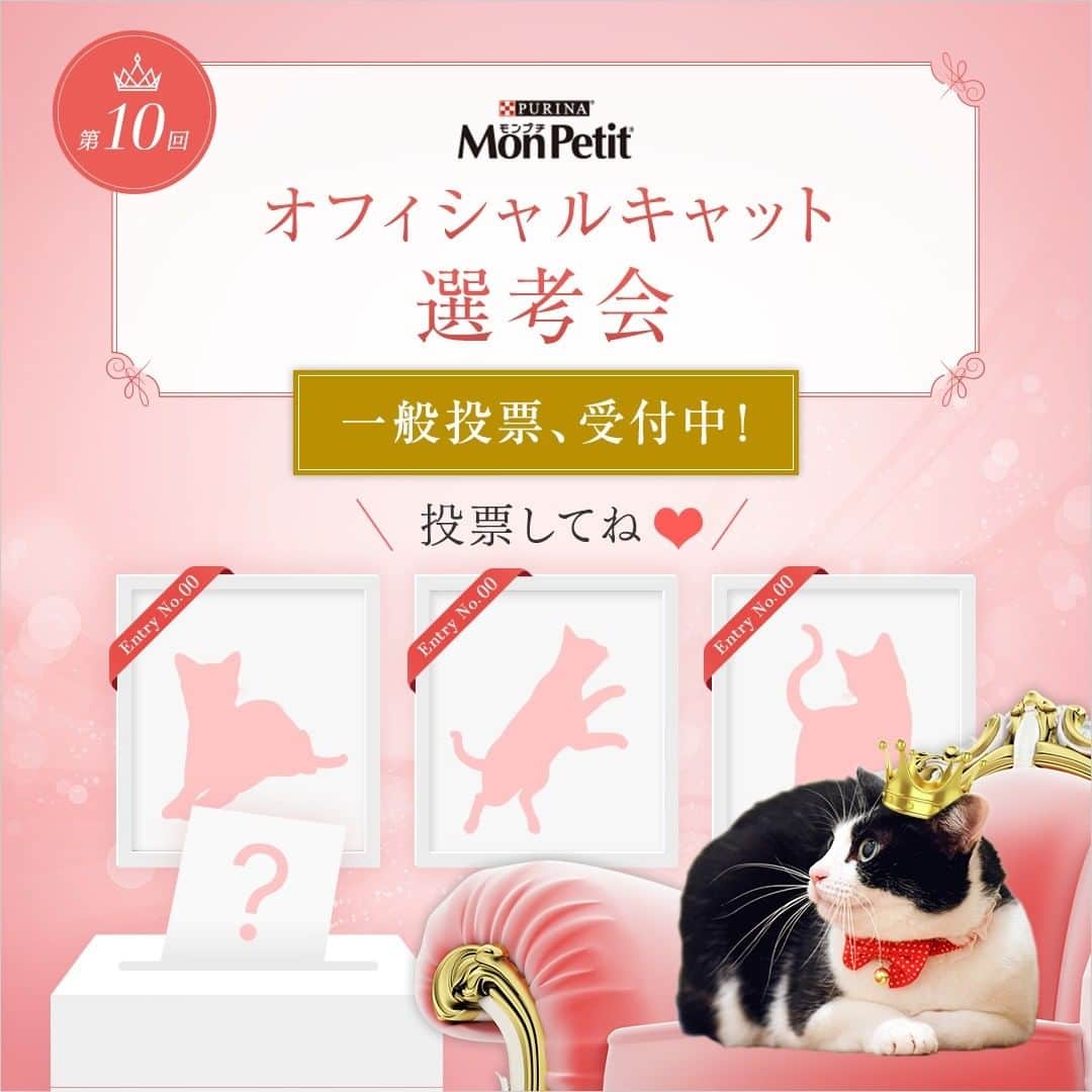 Purina Mon Petit Japanのインスタグラム：「／ 投票してね💞 一般投票、受付中🔥 ＼  15名のファイナリストの中から #モンプチオフィシャルキャット を決めるのはあなたの一票❣  あなたはどの子が一番 #モンプチ愛 に溢れていると思う❓  投票してくれた方の中から抽選で20名様に🎁 12/21まで  👇投票方法 https://nestle.jp/brand/monpetit/campaign/officialcats」