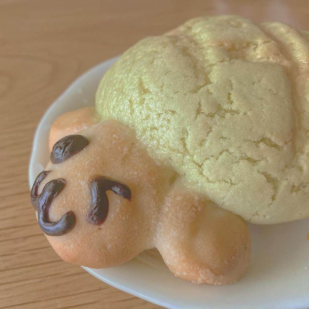 Dorothy Little Happyのインスタグラム：「🐢+🍞+🍈 ・ ・ カメロンパン美味しいっ(´•ω•`๑) ・ （今、横浜向かってますっ！） （みんな待っててね） ・ #齋藤きらら  #カメロンパン」