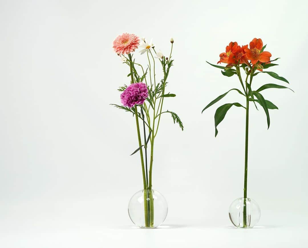 AOYAMA_HANAMOさんのインスタグラム写真 - (AOYAMA_HANAMOInstagram)「コロンとしたフォルムのフラワーベース、nuova(ノーヴァ) ・ ずっしりとした重みがあるため、バラやダリアなど大輪の花でも茎が長い状態で飾ることができます。置き場所を選ばない省スペースなサイジングで、一輪の花でもさまになる洗練されたデザイン。茎の細い花なら数本組み合わせても楽しめます。 ・ カラーはナチュラルな雰囲気のクリスタルガラスと高級感のあるクロームメッキ仕上の２種類。シックな黒の箱入りなので、お花と合わせたクリスマスプレゼントにもおすすめです。 ・ 花のある環境がいつもの暮らしに彩りを添えます。 お部屋はもちろん、オフィスやショップにもいかがでしょうか。 青山花茂では店頭のみ販売しています。 - - - #aoyamahanamo #flowers #flowershop #florist #instaflower #flowergram #flowerstagram #flowerlovers #花 #花屋 #生花店 #フラワー #花のある暮らし #花のある生活 #青山花茂 #フラワーベース #一輪挿し #flowervase #クリスマスプレゼント #ウィンターギフト #株式会社クレイ  #バラ #アルストロメリア #ダリア #カーネーション #マーガレット #インテリアフラワー #おうちフラワー」12月11日 17時55分 - aoyama_hanamo