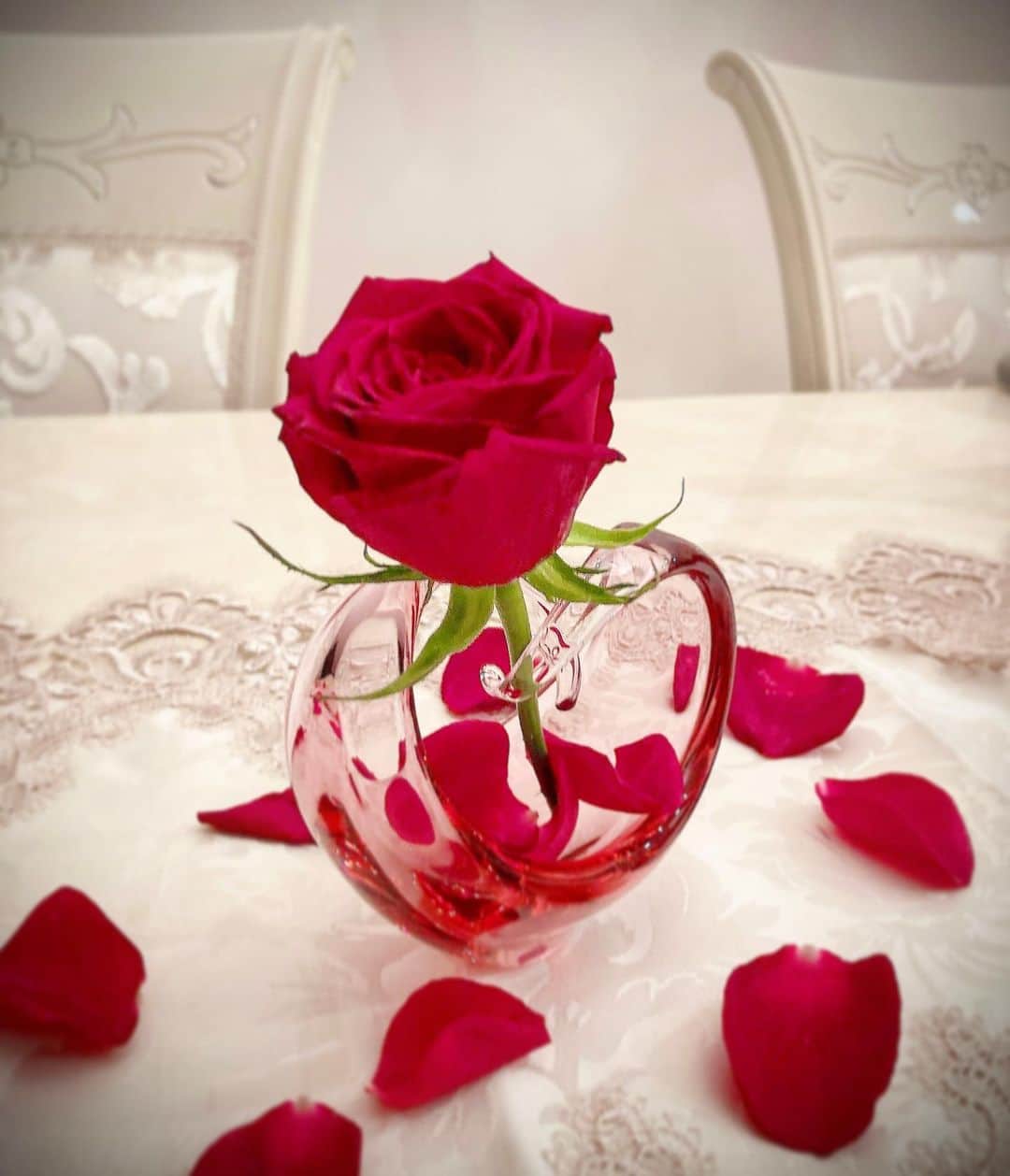明星優花さんのインスタグラム写真 - (明星優花Instagram)「誕生日プレゼント🎁で、私が欲しかった絵を頂きました❤😍  オリバーガルの絵🖼✨ すがはらさんの花瓶🌹✨  可愛くて、帰って直ぐに一輪の薔薇を刺して飾りました💕  最後の2枚は可愛くて欲しい絵❤ どっちが可愛いと思いますか⁉️ アンケート😆  #プレゼント #オリバーガル #すがはら #花瓶 #薔薇 #薔薇のある暮らし  #インスタ映え #可愛い #可愛い💕  #可愛いすぎる #可愛いは正義  #可愛いカフェ #綺麗 #誕生日 #誕生日プレゼント  #誕生日祝い #バースデー #バースデーフォト  #birthday #birthdaypresent  #birthdayparty  #picture」12月11日 18時22分 - yuka1219yuka