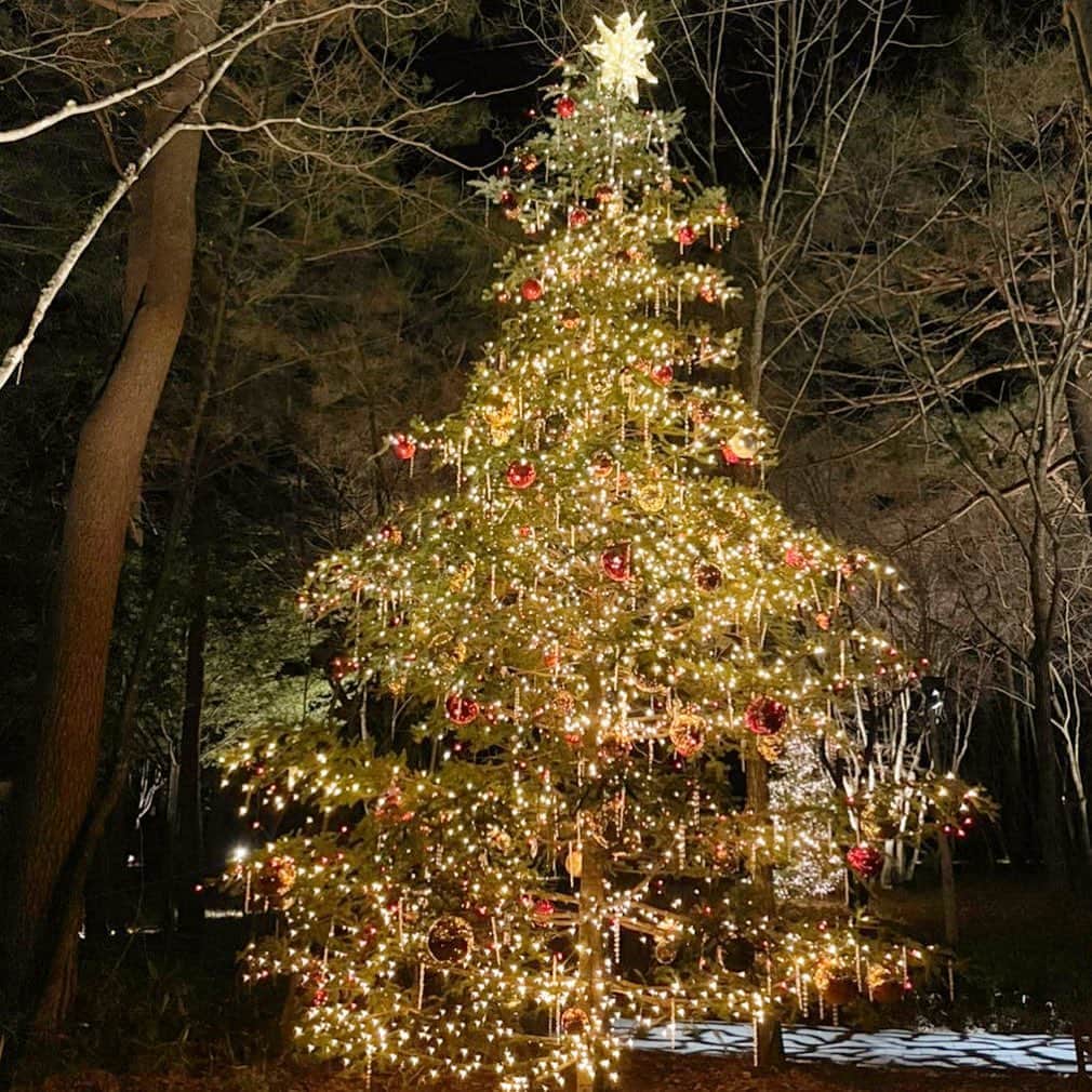 【公式】軽井沢高原教会さんのインスタグラム写真 - (【公式】軽井沢高原教会Instagram)「今日は、軽井沢高原教会の6mのクリスマスツリーを写真でお届けします。 皆様、良い週末をお過ごし下さい。  コロナウイルス感染拡大防止の為、 星降る森のクリスマス2020は予約制で実施することとなりました。 本来であれば、開かれた教会として皆様をお迎えしたいと思っておりましたが、 このような状況の為、何卒ご理解いただけますと幸いです。  現地にお越しいただけない方にも、軽井沢の様子をお届けできるよう Instagramを更新していきたいと思います。  #軽井沢 #軽井沢高原教会 #星降る森のクリスマス2020 #瞬く星に願いを込めて  ーーーーーー★★ 現地ご見学ご希望の場合、予約が必要でございます。 ご予約状況は、プロフィールページのURLより予約サイトをご確認ください。  サイトにて「×」と表示される日程については既にご予約が埋まっております。  既に多くのご予約を頂戴しており、予約がとりづらい状態となっております。 キャンセル待ちを承ることは出来かねますが、 他のお客様がキャンセルされた場合、その分の枠が解放されますのでご予約をお取りいただくことが可能です。 お手数ですが、随時予約サイトをご確認いただけますと幸いです。 ※お電話やInstagramのDMやコメントでの空き状況のお問合せにはお答えいたしかねます旨、ご了承くださいませ。 ★★ーーーーーーー」12月11日 18時23分 - karuizawa_kogenchurch