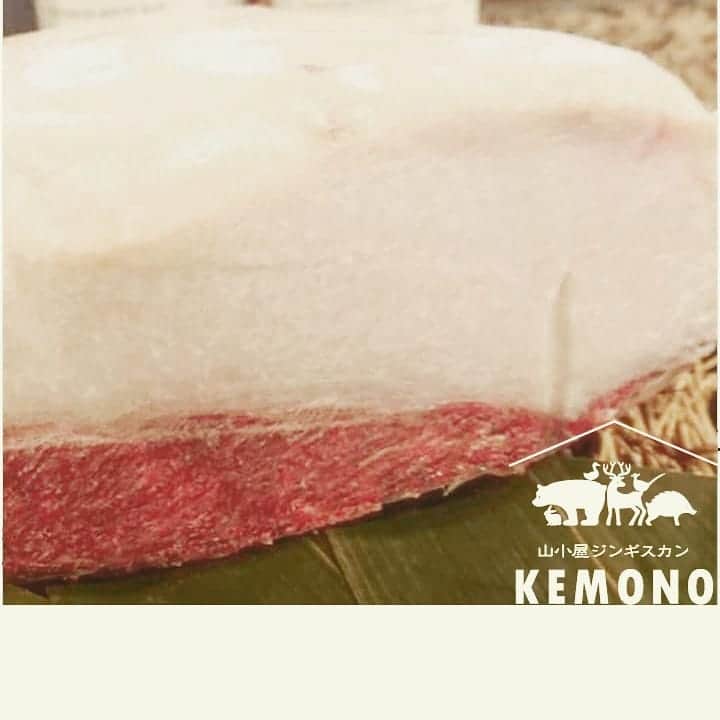 KEMONOのインスタグラム：「岐阜県飛騨高山産 【ツキノワグマ入荷】 猟期になりおおよそ１ヶ月がたちました。 今回は、岐阜県より ツキノワグマの入荷です！  🐻熊肉🐻 甘味と旨味が強く、身体を温め 疲労回復をスムーズにしてくれます✨ 寒い季節にぴったりです👍  国産生ラムと一緒に熊肉も❗ KEMONOならではのジンギスカン お試しあれっっ‼️ もちろん王道の熊鍋もご用意しております。  ⚠️熊肉は、量に限りがございます。 ご予約でのご来店をおすすめしております🐗 ・ ・ #KEMONO #熊肉 #ジンギスカン  #ジビエ#ジビエ料理#鍋#熊鍋 #国産#生ラム#ラム #グルメ#高タンパク#低脂質 #山#自然#肉好き#ツキノワグマ  #ミナミ#大阪#難波#道頓堀#千日前#裏なんば」