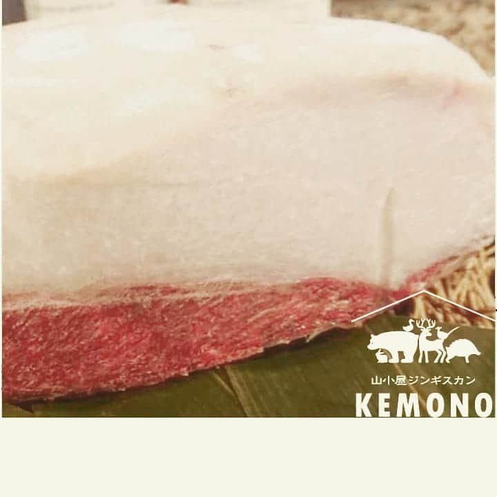 KEMONOのインスタグラム