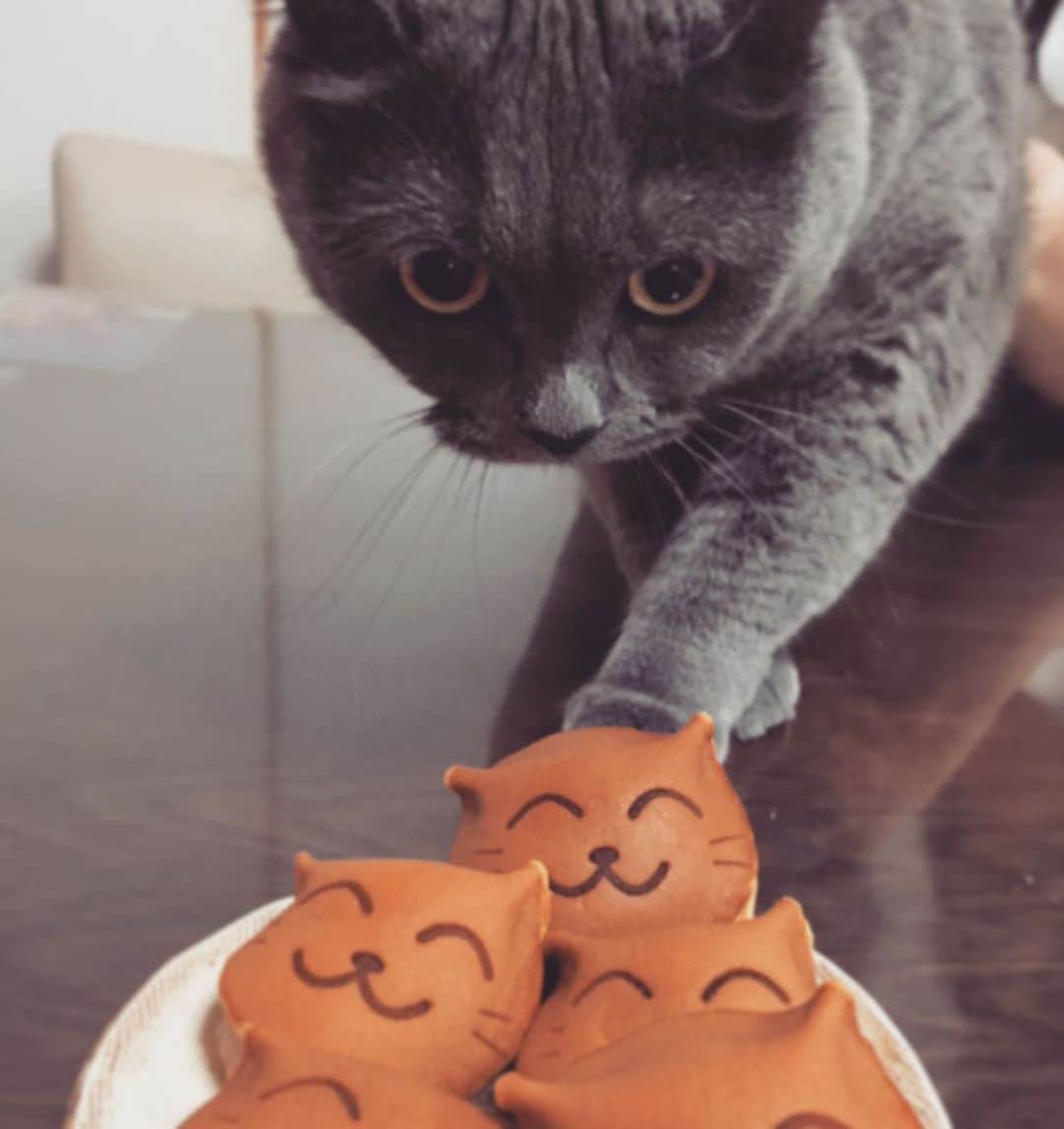 チキン南蛮カレーのルウ王子のグルメインスタ