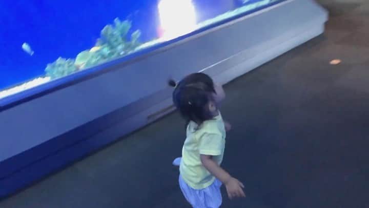 安田由紀奈のインスタグラム：「自粛明け水族館に行った時。 #ママ  #女の子ママ #2歳 #水族館  #海遊館」