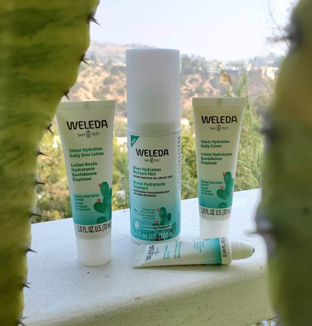 Weledaのインスタグラム：「Are you spending winter in a warmer climate instead of the cold? 💚 Then your skin needs weightless and breathable moisture that lasts! Our Sheer Hydration Collection is the perfect solution for you. #WeledaSkin」