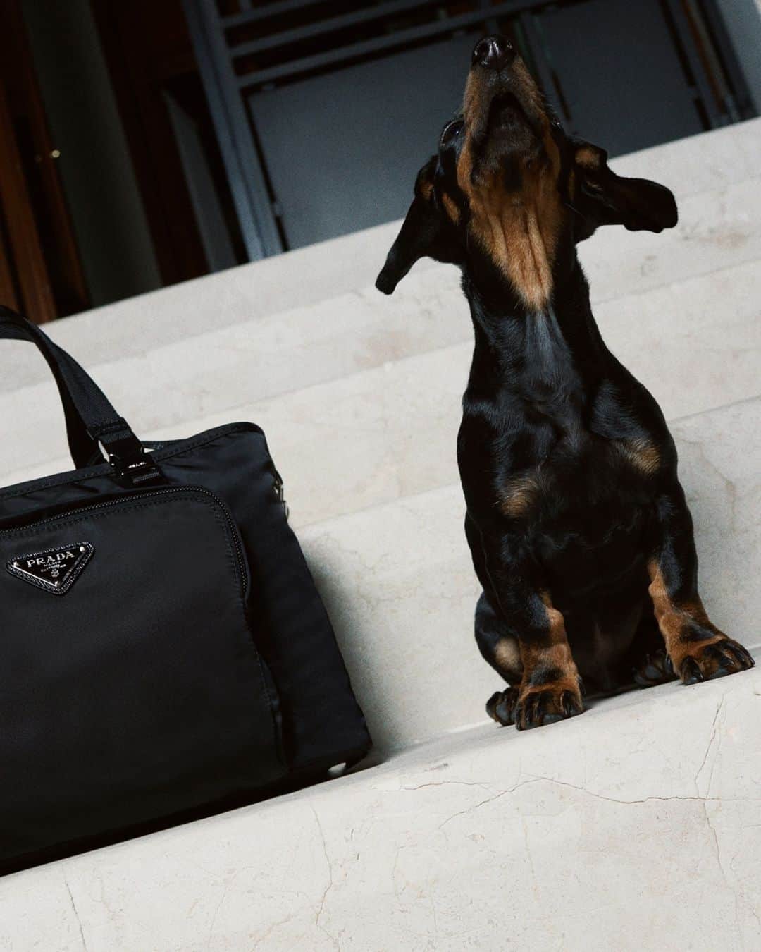 のインスタグラム：「#PradaGifts for your best friend. As seen in “A Stranger Calls”, the #PradaHoliday20 campaign. Discover more via link in bio. #Prada」