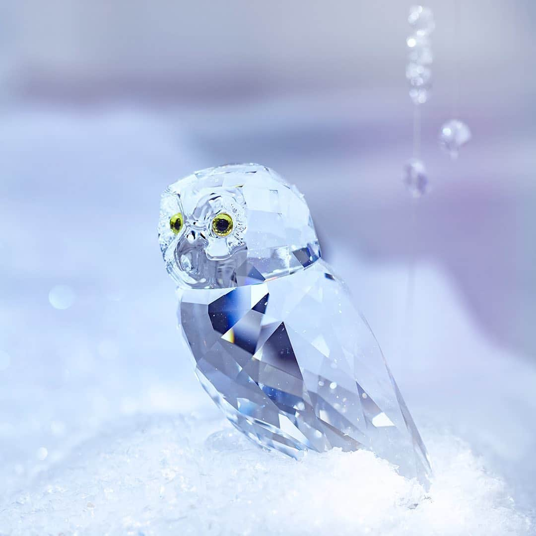 SWAROVSKIさんのインスタグラム写真 - (SWAROVSKIInstagram)「Who is wiser than the owl? No one, we think. A symbol of wisdom and intelligence, this little bird is a key feature in Frozen Dreams, an enchanted Tyrolean winter forest now on display at the Swarovski Kristallwelten store in Wattens, Austria. It sits perched on a crystal branch.  #Swarovski #Kristallwelten」12月12日 5時07分 - swarovski