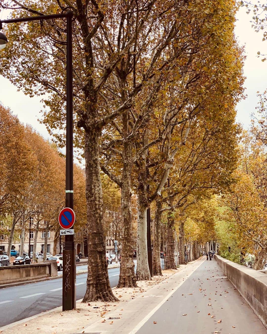 ジェニファー・エスポジートのインスタグラム：「Paris. How I wish I was there. Just walking. Without a care in the world of masks or illness or etc etc etc.  just some freedom from the weight of the last year especially.   However, we are here. At a juncture that has made me see parts of people I don’t think I can get around at the moment. I haven’t posted in quite some time because I’m not really sure what to say with such devastation everywhere.  I do feel compelled to talk about the deep self centered, selfish behavior that is making me so so sad. It will never be unseen now. The lack of care for one another and looking out for our neighbor has never been so abundantly clear. Not sure how we got here. Or maybe we’ve always been here and social media just brings it to the forefront. I don’t know. What I do know is people are dying. They are losing their loved ones, losing their jobs, homes, savings business, and hope. Hope for better. This isn’t about a vaccine or politics. It’s about people being responsible for one another and the earth they live on TOGETHER. You don’t exist here Alone.  To every health care worker who has tried so hard to save a strangers life and every person who is helping at this time- I’m eternally grateful and bow to you. To everyone else who believes their life is more important and rules don’t apply to them, or kindness or basic human decency, maybe it’s time to take a look at yourself. And for all those who STILL at this time don’t know how to read a room and maybe not post some self centered bullshit for a few months!? I don’t know, I just believe people can be better.   I’d like to offer up some kindness. If anyone who follows me here is in need of basic food items, or basic needs or can’t afford to buy something for your child for Xmas leave me a note here. I will get in touch through DM and send what I can. I will pick at least 3 people. Pls be considerate to one another here. Xx」