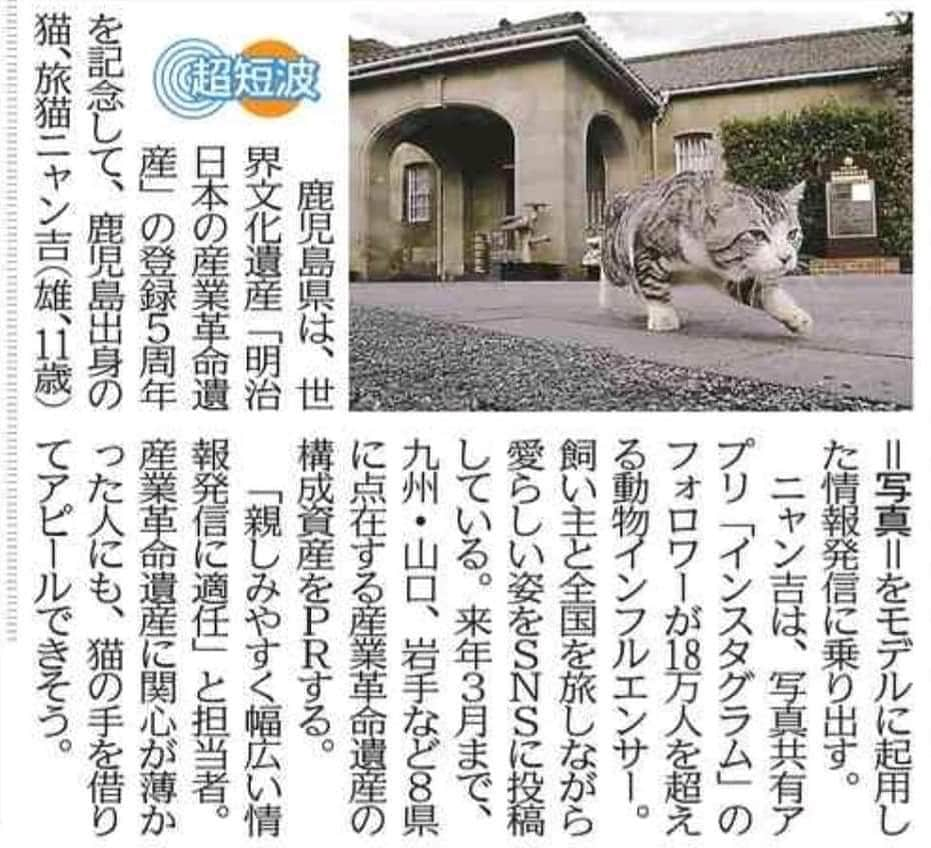 Nyankichi Noranekoさんのインスタグラム写真 - (Nyankichi NoranekoInstagram)「西日本新聞で紹介していただきましたにゃり😸  #猫 #cat #고양이 #แมว #貓 #кошка #wats #chat #ニャンスタグラム #gato #catsofinstagram #ねこ部 #旅猫 #cats #japan #猫写真 #ねこ #seekor #ネコ #kitty #パトロール #kucing #kucinglucu #世界遺産 #世界文化遺産 #日本の産業革命遺産 #世界遺産登録5周年 #西日本新聞」12月11日 20時52分 - noraneko_nyankichi