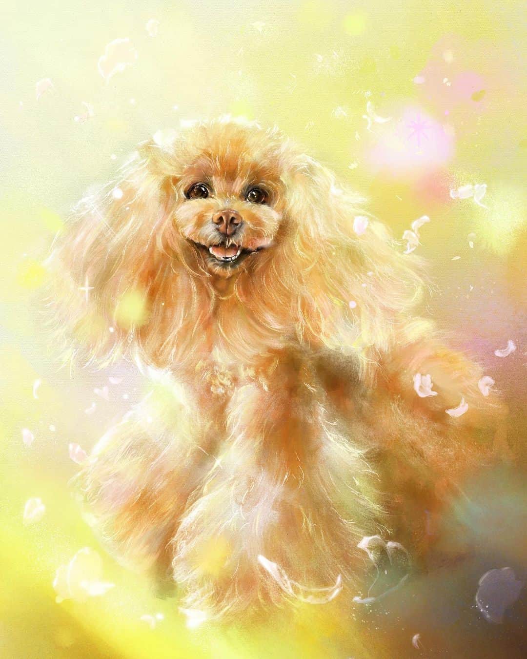 Toypoodle Mikuru?Asakusa Tokyoのインスタグラム：「20201211 Friday. みきゅるん😆 @crescent.canvas さんにお願いして描いて頂きました🥰 素敵に仕上げて頂きありがとうございます😆🙏🏻❤️ ずっと楽しみにしてました😍  一番ふわふわの時の みきゅるん☺️ 宝物がまた増えました❣️  #イラスト #犬の絵 #桜とミモザ」