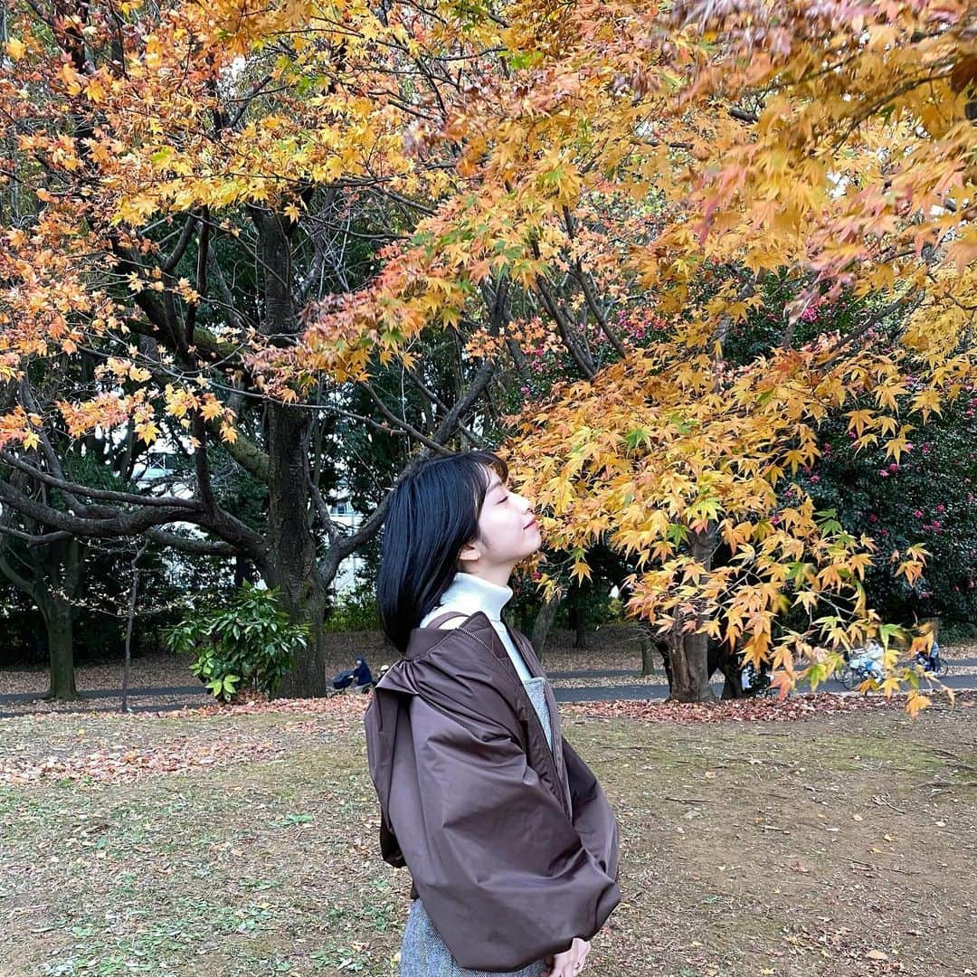 永井理子さんのインスタグラム写真 - (永井理子Instagram)「少し前に、紅葉見に行ったときの！ けっこう散ってしまってたけど 唯一見つけた、もみじ🍁  @alexiastam_official のアウターが この日の気温にちょうど良かった🤎  photo by @chisamipo1030   #昭和記念公園」12月11日 21時08分 - riko_1221