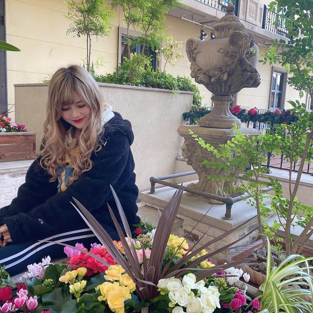 まなのグルメインスタ