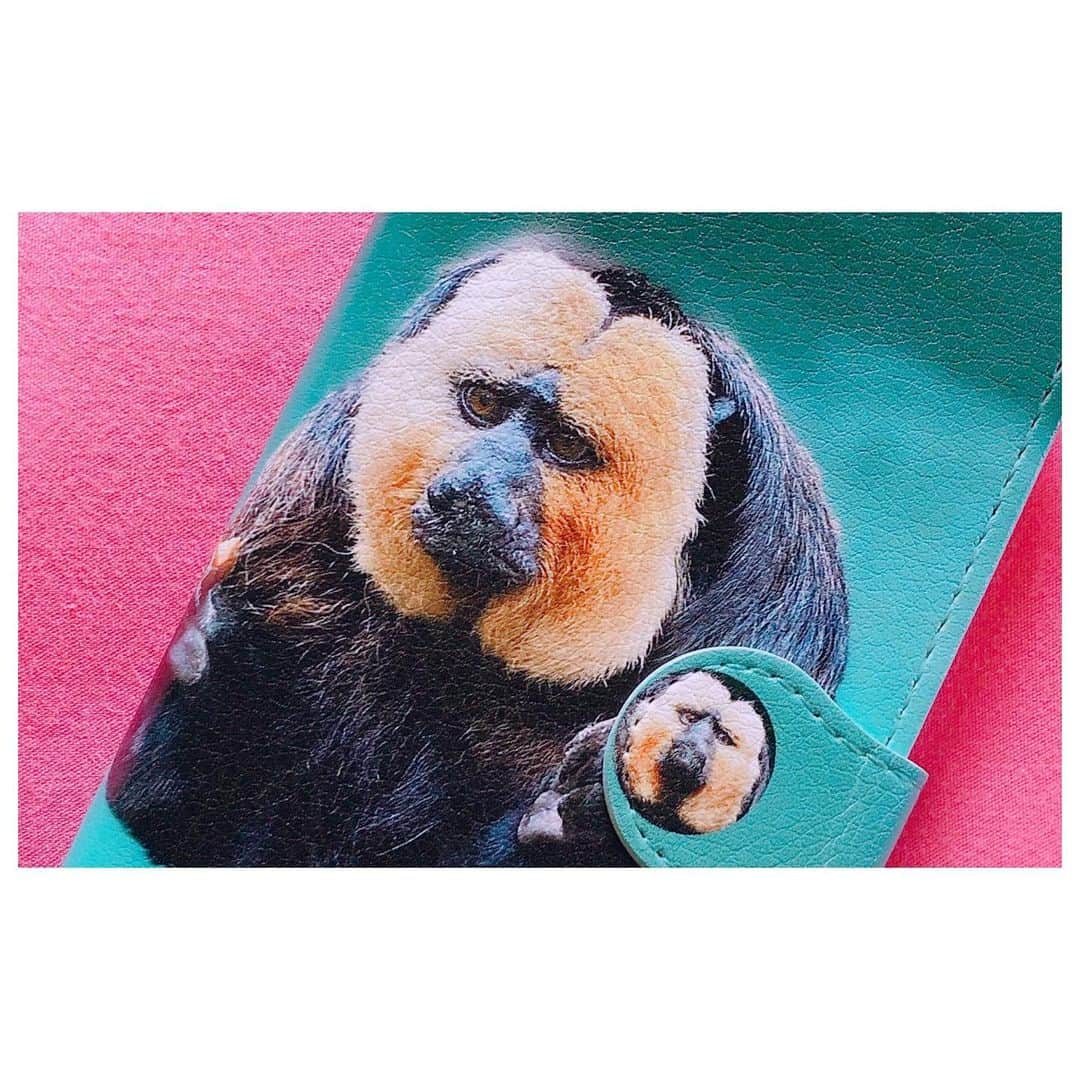 理絵さんのインスタグラム写真 - (理絵Instagram)「生まれてこの方🐒お猿さんが好き！とまではいかないタイプだったのに…会ったこともない日本モンキーセンターのモップくんを  Twitterで見かけてから、じわじわ好きになり…好きで好きで思わず購入したモップくんのスマホケース  いつかモップくんに会いに行きたいな🤎  ちなみに動物園のなかではハシビロコウとマヌルネコが好きです🤍  #シロガオサキ #モップくん #スマホケース」12月11日 22時18分 - ____rie____