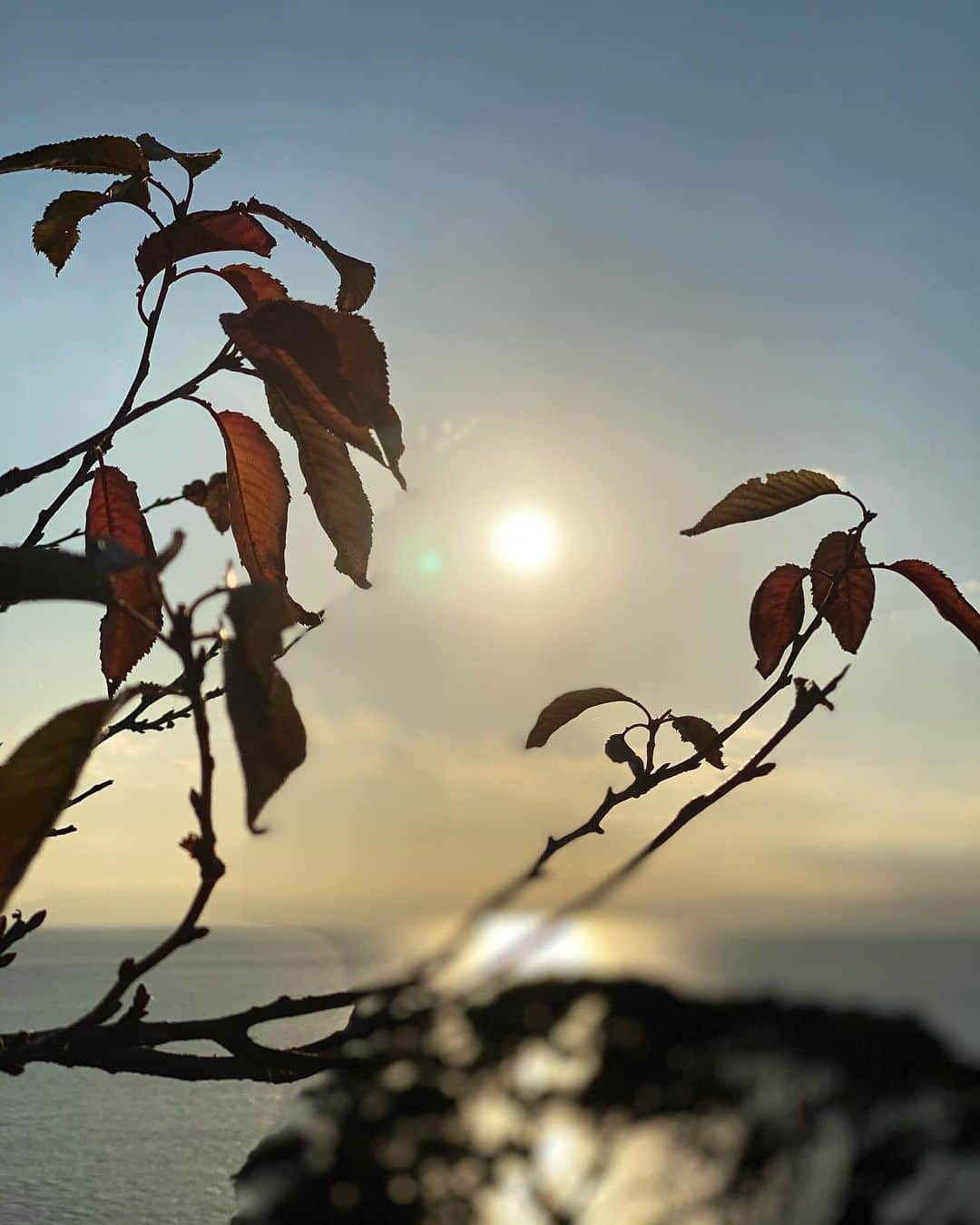 伊藤友季子さんのインスタグラム写真 - (伊藤友季子Instagram)「ひさびさに海を見におでかけ🐚💫 お昼間はポカポカして風も穏やかで気持ち良かった〜🌾 たくさん歩いて、たくさん食べて、綺麗な景色と波音に心身共に癒された良い一日でした♩」12月11日 22時19分 - yukiko_xx