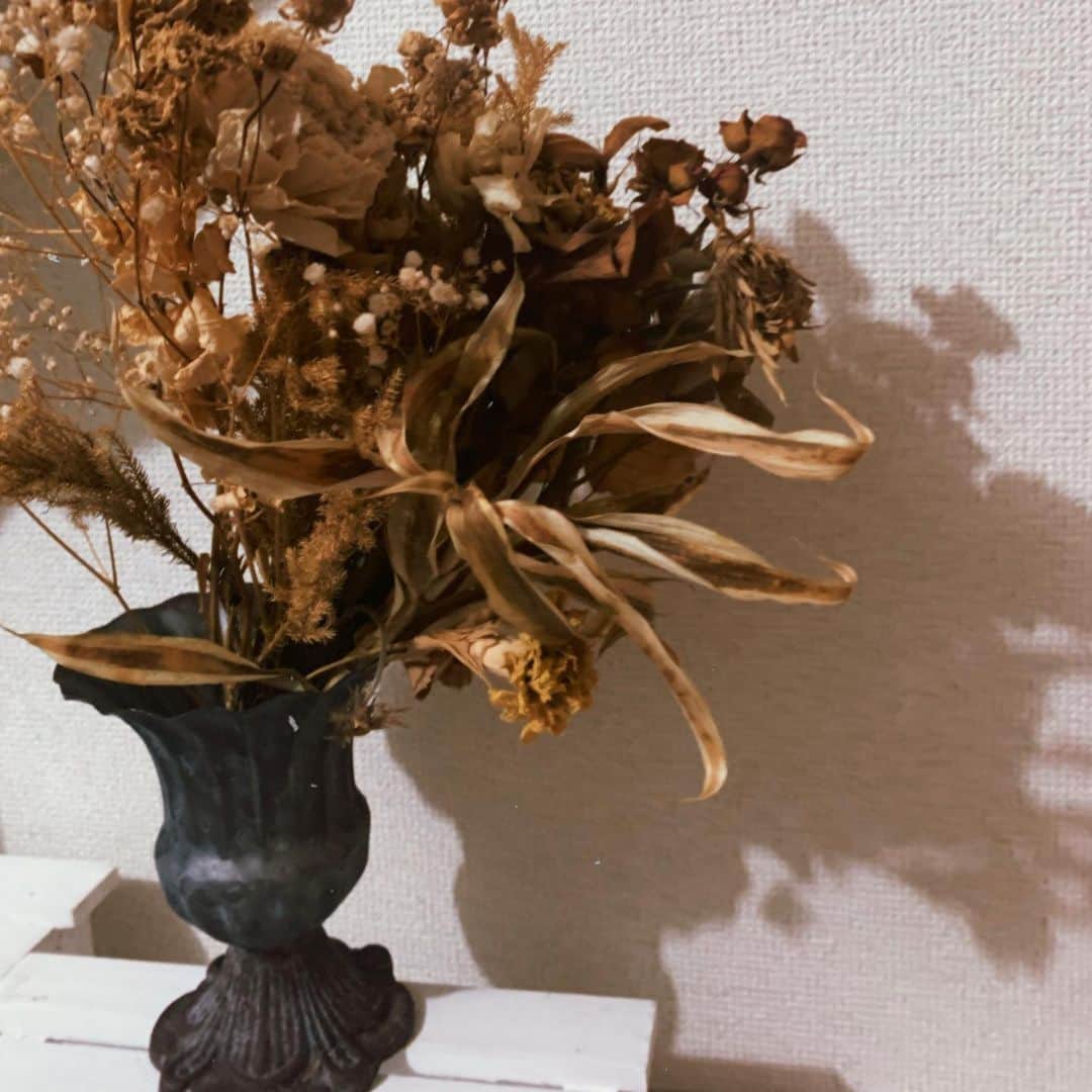Ai（虫賀愛）さんのインスタグラム写真 - (Ai（虫賀愛）Instagram)「思い出の花束❤️ * * #ドライフラワー　#💐」12月11日 22時24分 - ai.mushiga