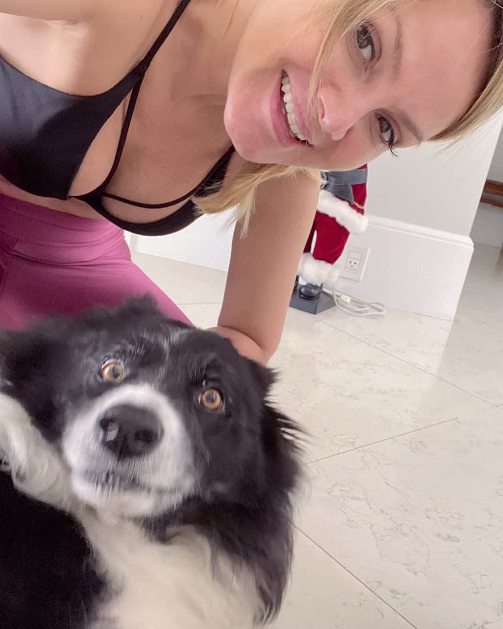 Eliana Michaelichin Bezerraのインスタグラム：「Bela recebeu a notícia de que já estamos chegando no Natal 🤣. Bom dia!! #doglovers」
