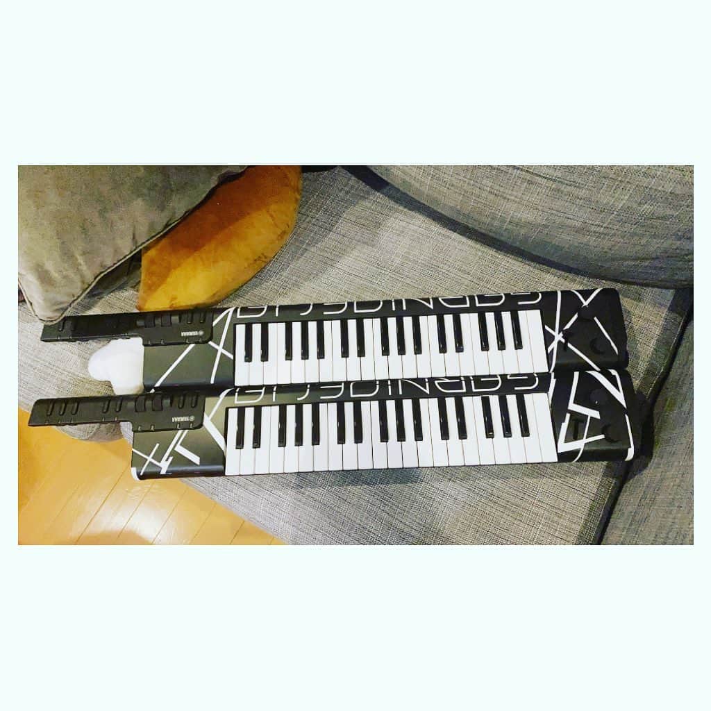 tokuのインスタグラム：「ショルキー1号2号。 ドリーム抽選会賞品に。  #garnidelia」
