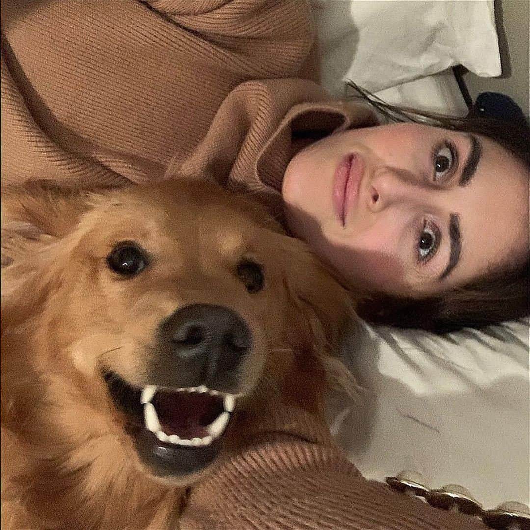 8crapさんのインスタグラム写真 - (8crapInstagram)「When someone takes selfie with you without your consent - 📷 @hugoandursula - #barked #dog #doggo #GoldenRetriever」12月11日 23時00分 - barked